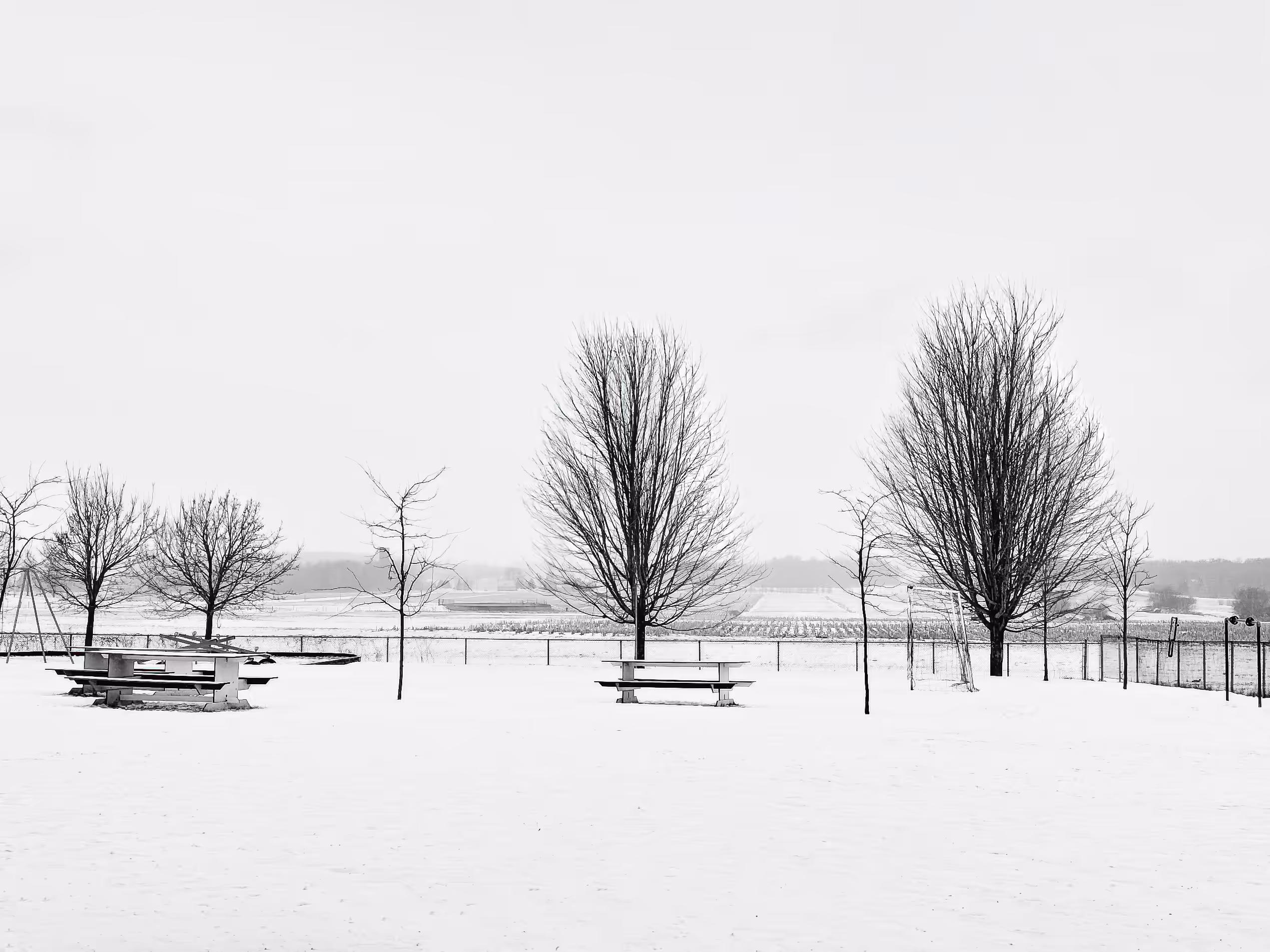 The horizon separates the sky from the earth.