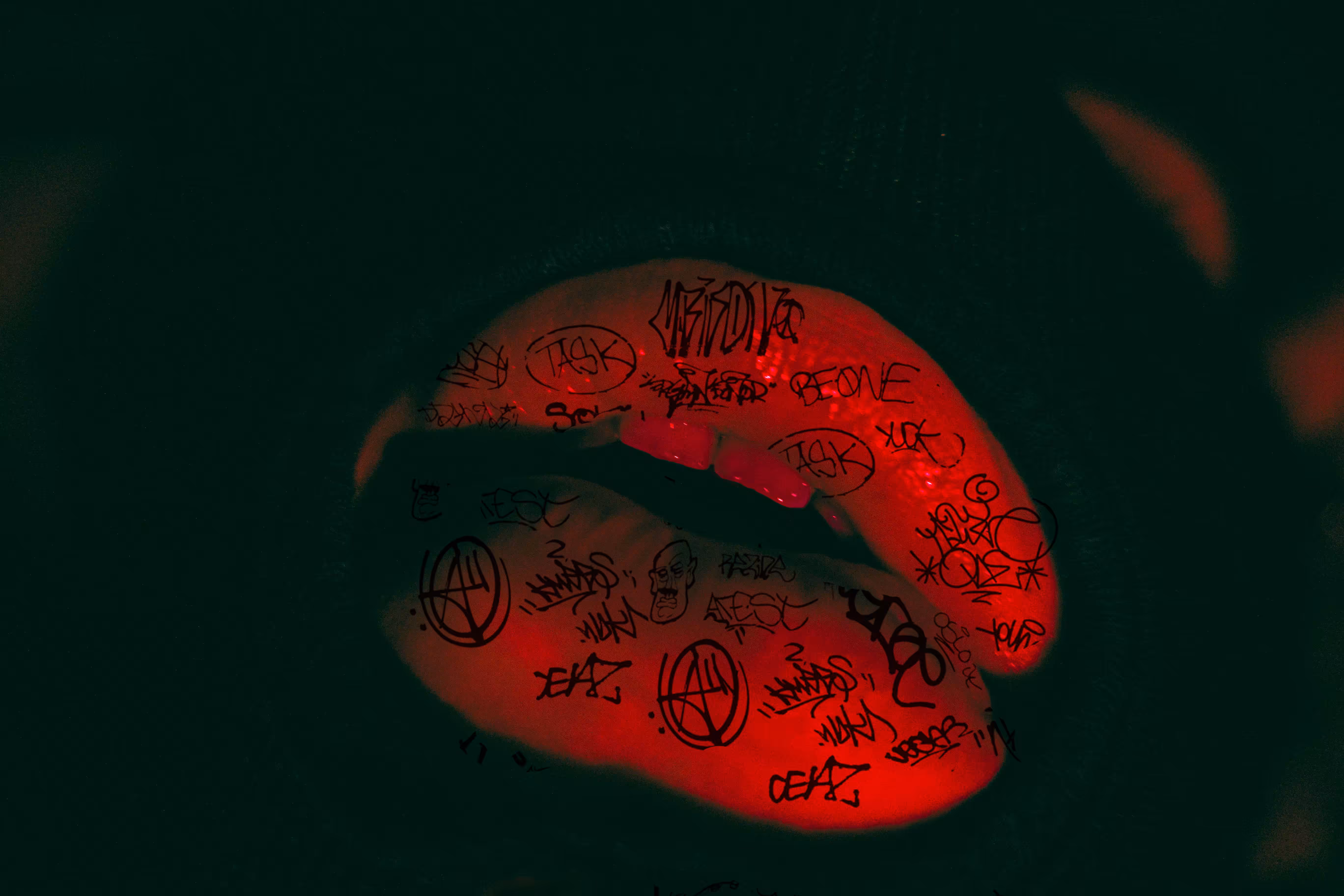 the LIP