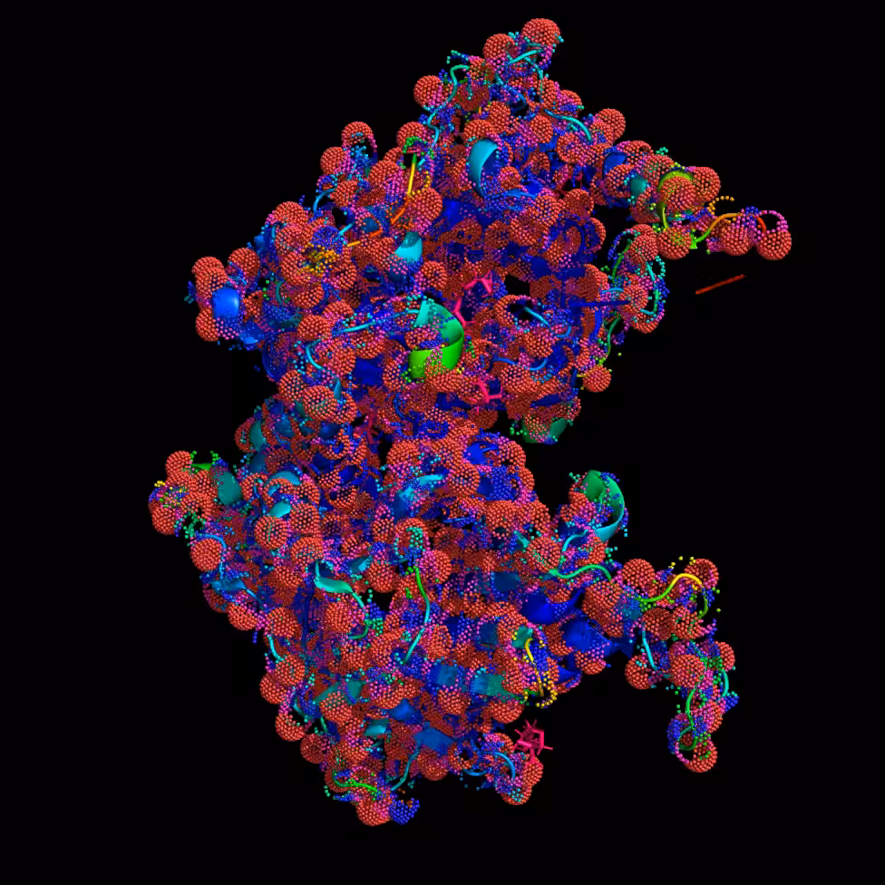 Nom Nom Nylon - spores