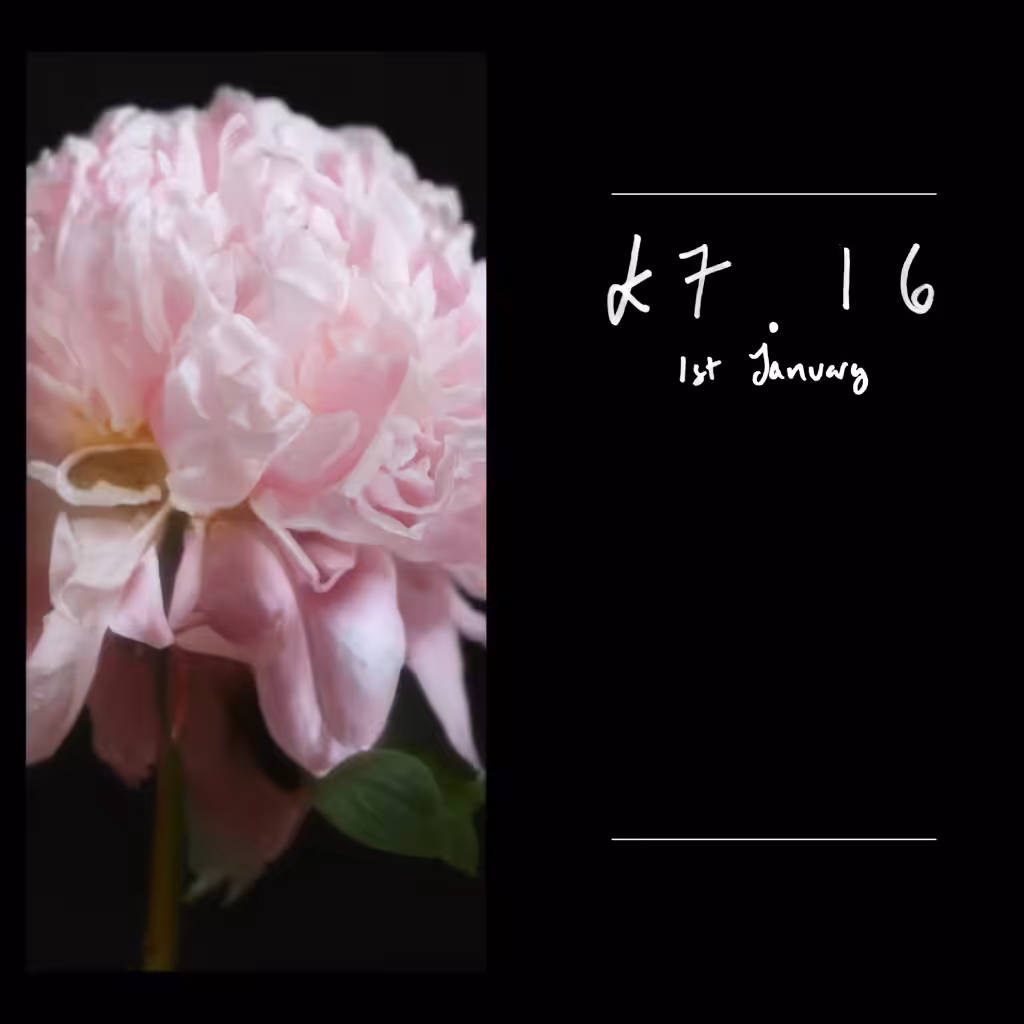 Price Per Stem 10