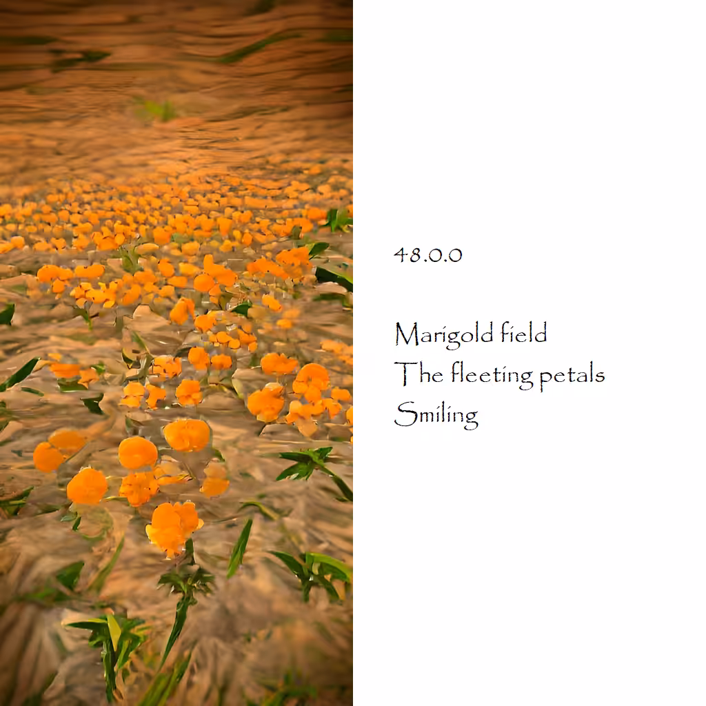 Haiku&Haiga_48.0.0