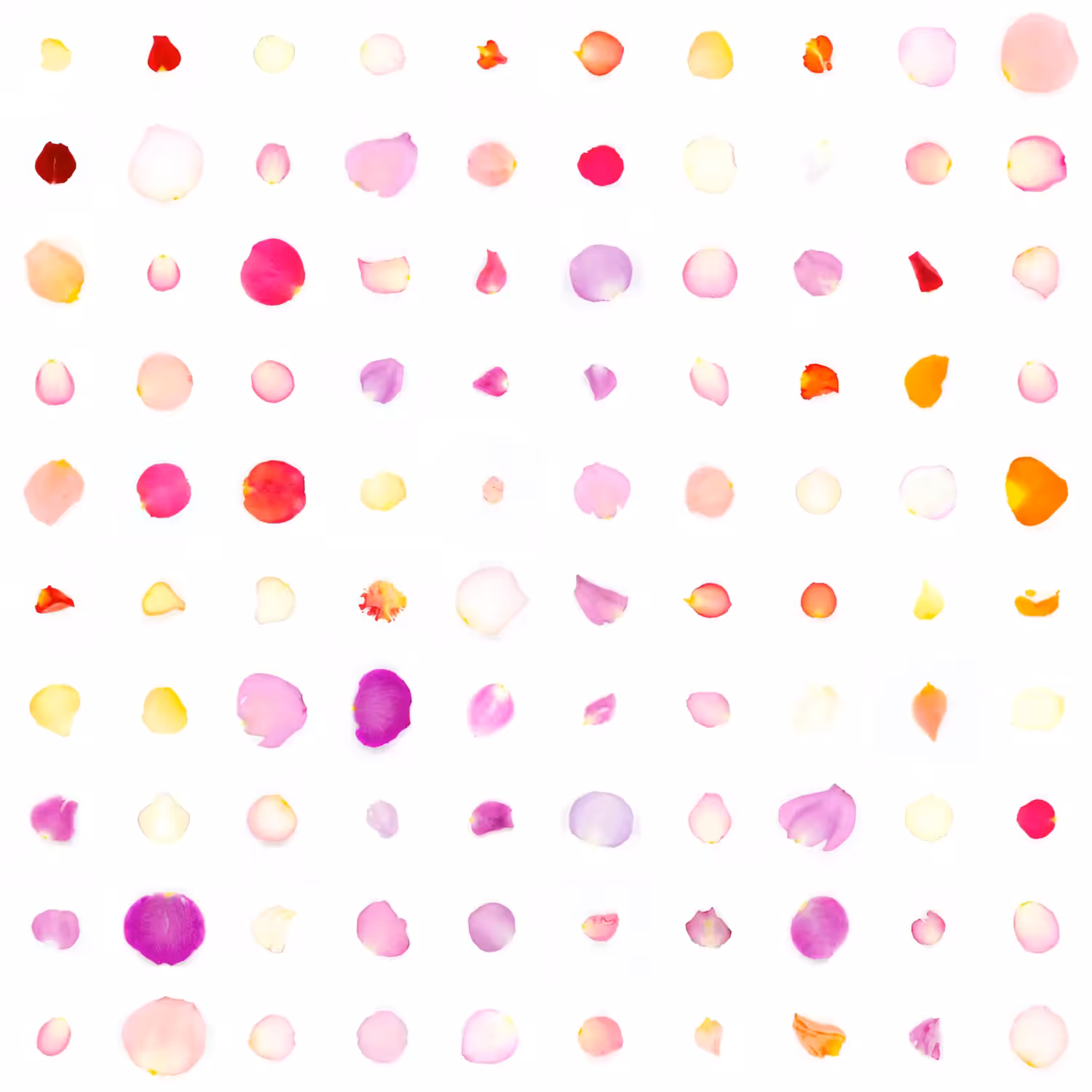 Infinite Petals 10x10#10174