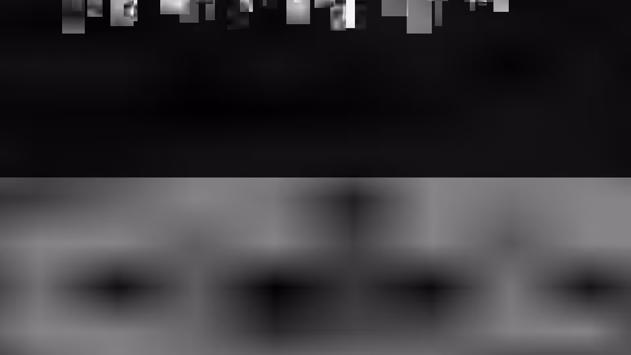 ZOOM (4hwf)