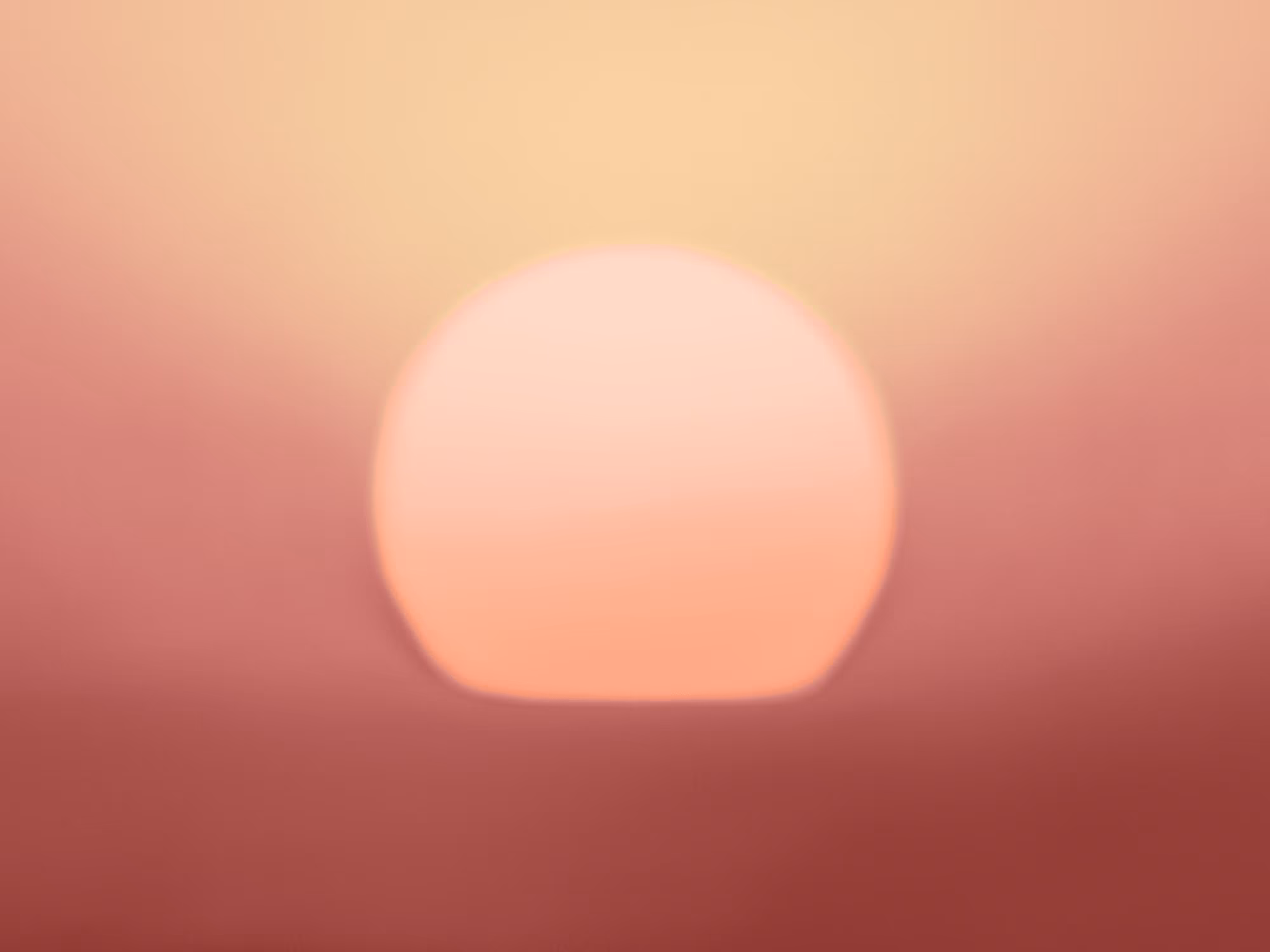 GM Sunshine No32