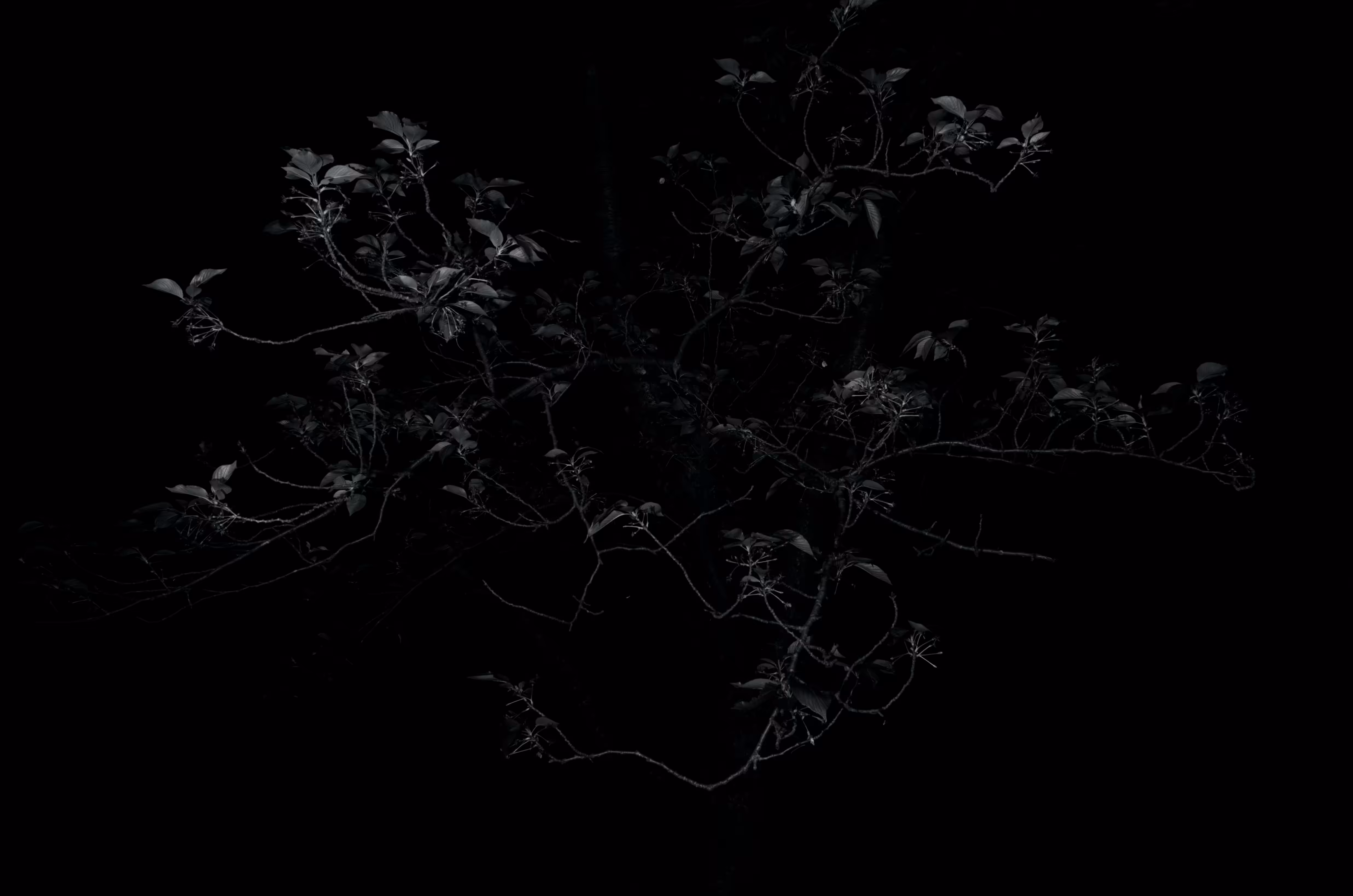 Mark of Darkness #198