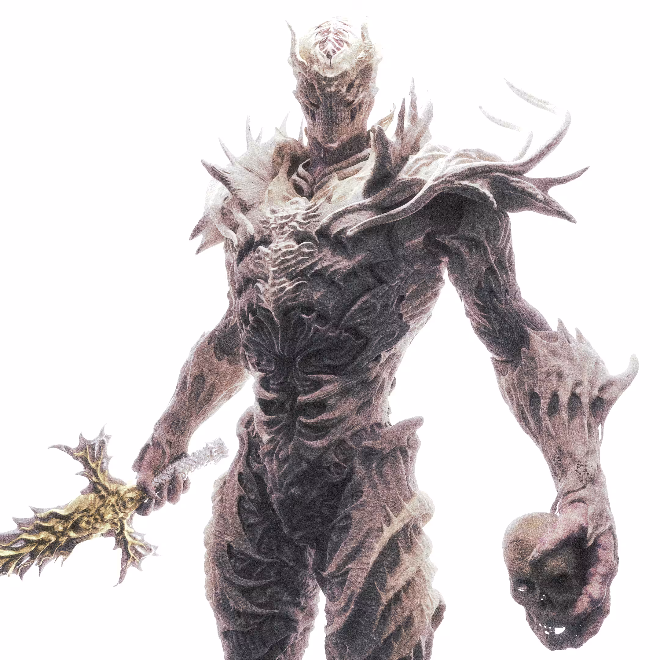 BONE COLLECTOR