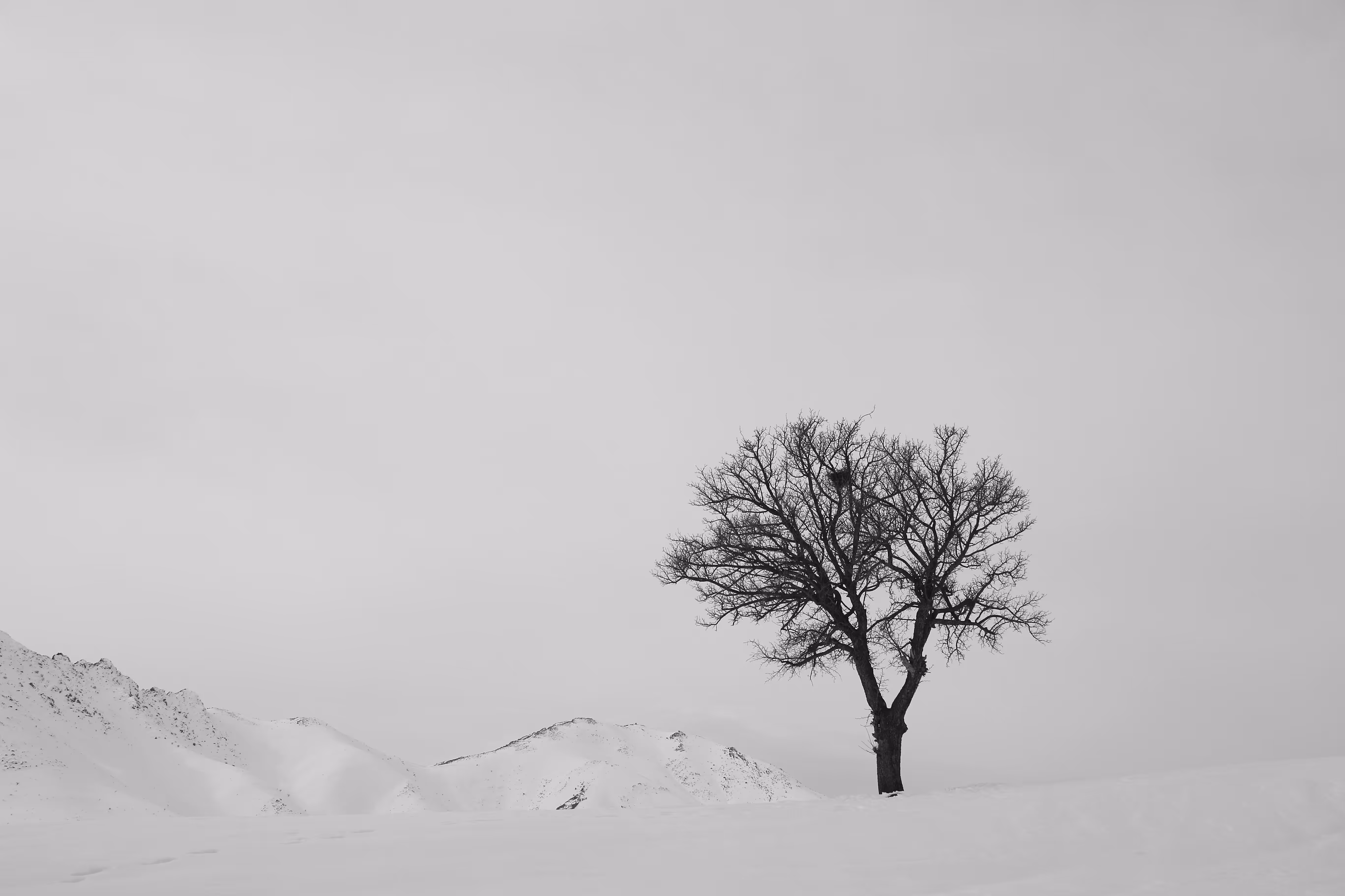Winter 2026 - 2