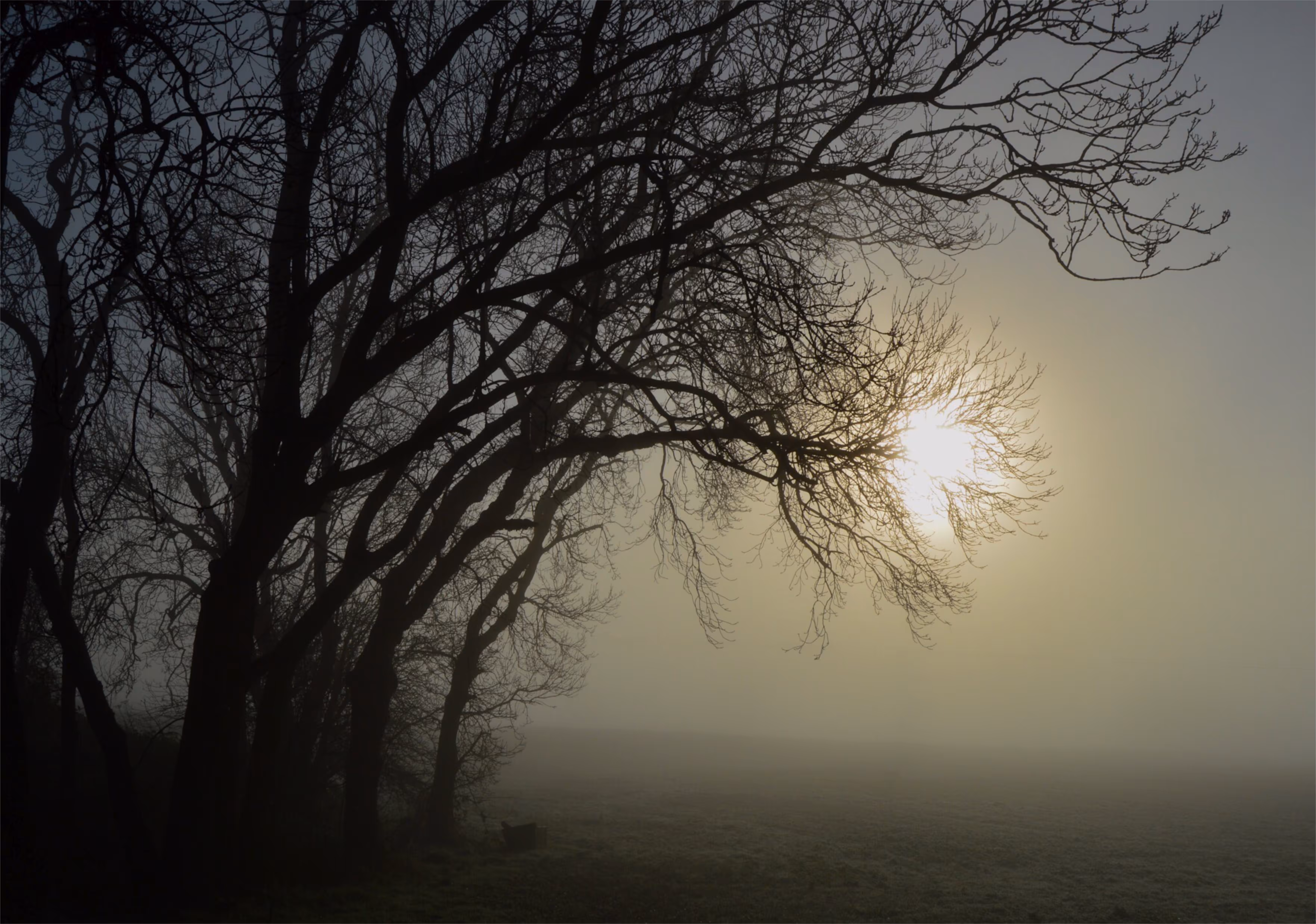 Landscape 5