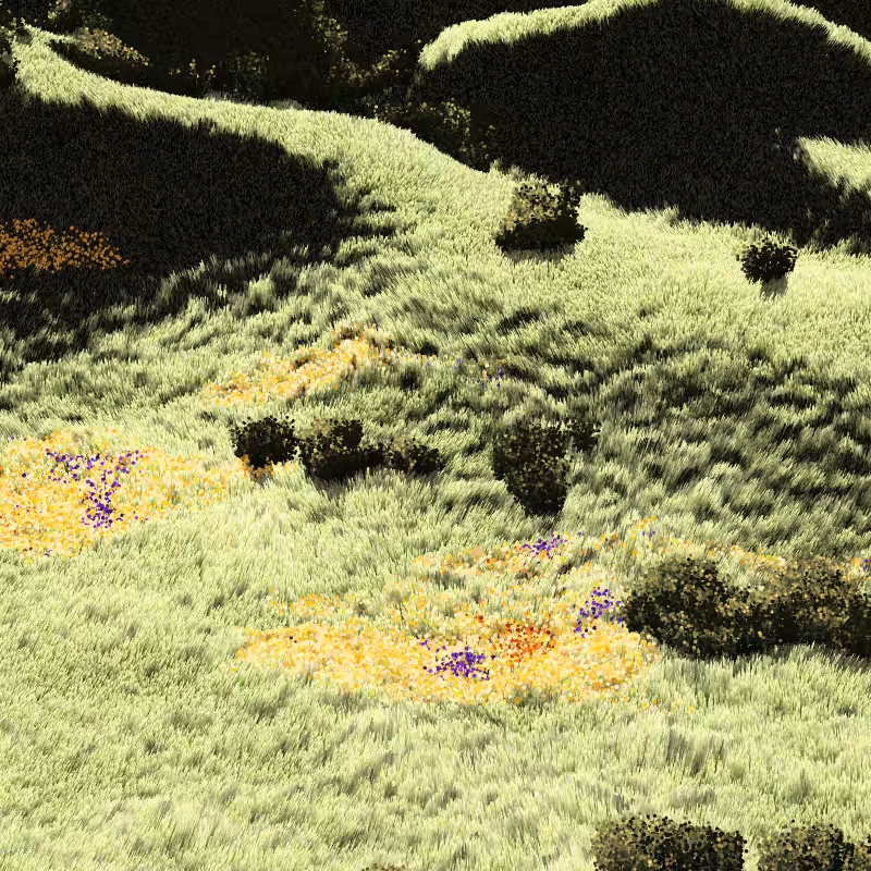 California Hills in Late Sun #129