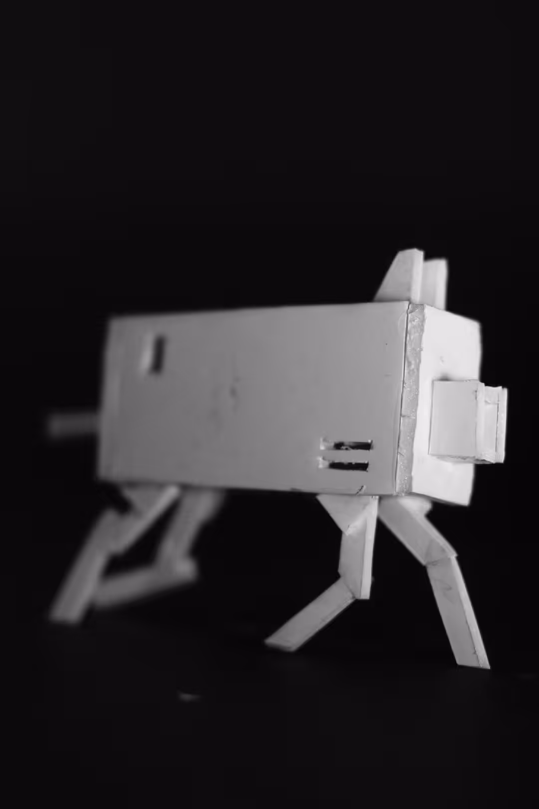 Box Dog