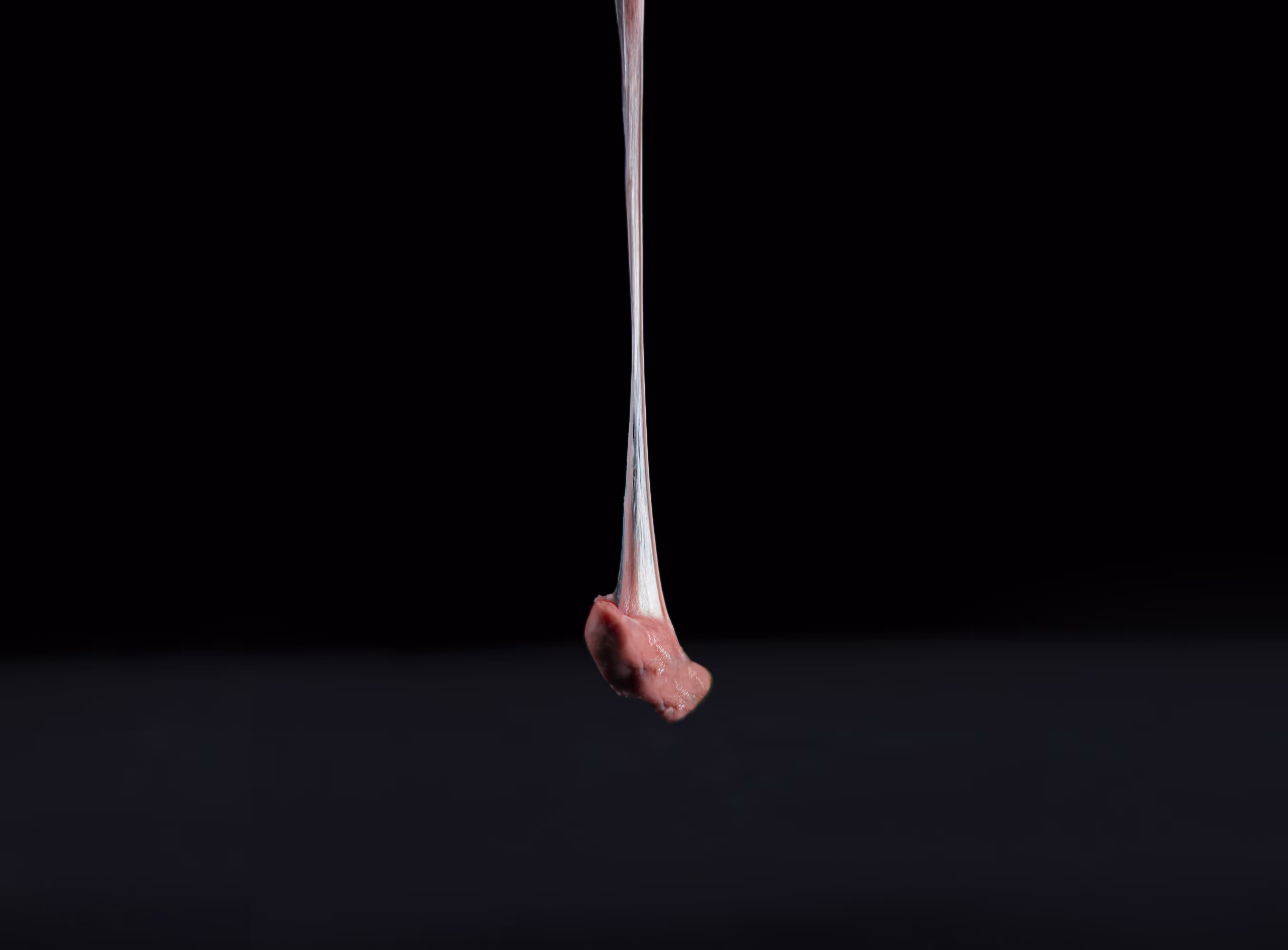 The Guillotine