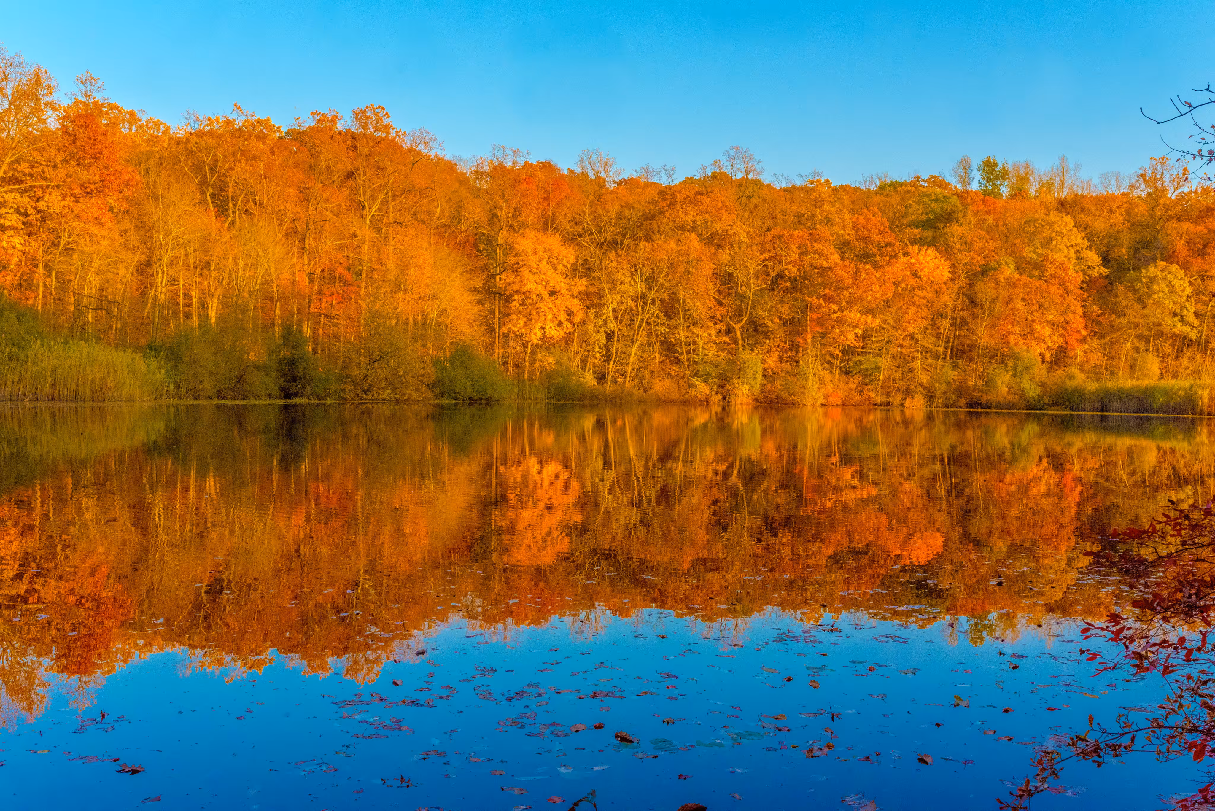 Colorful Reflections 8