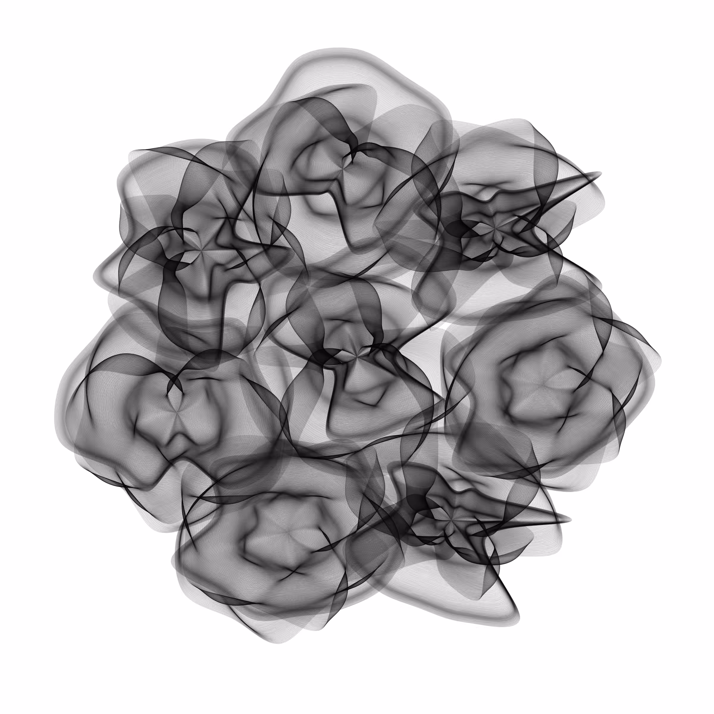 Flowers #5237