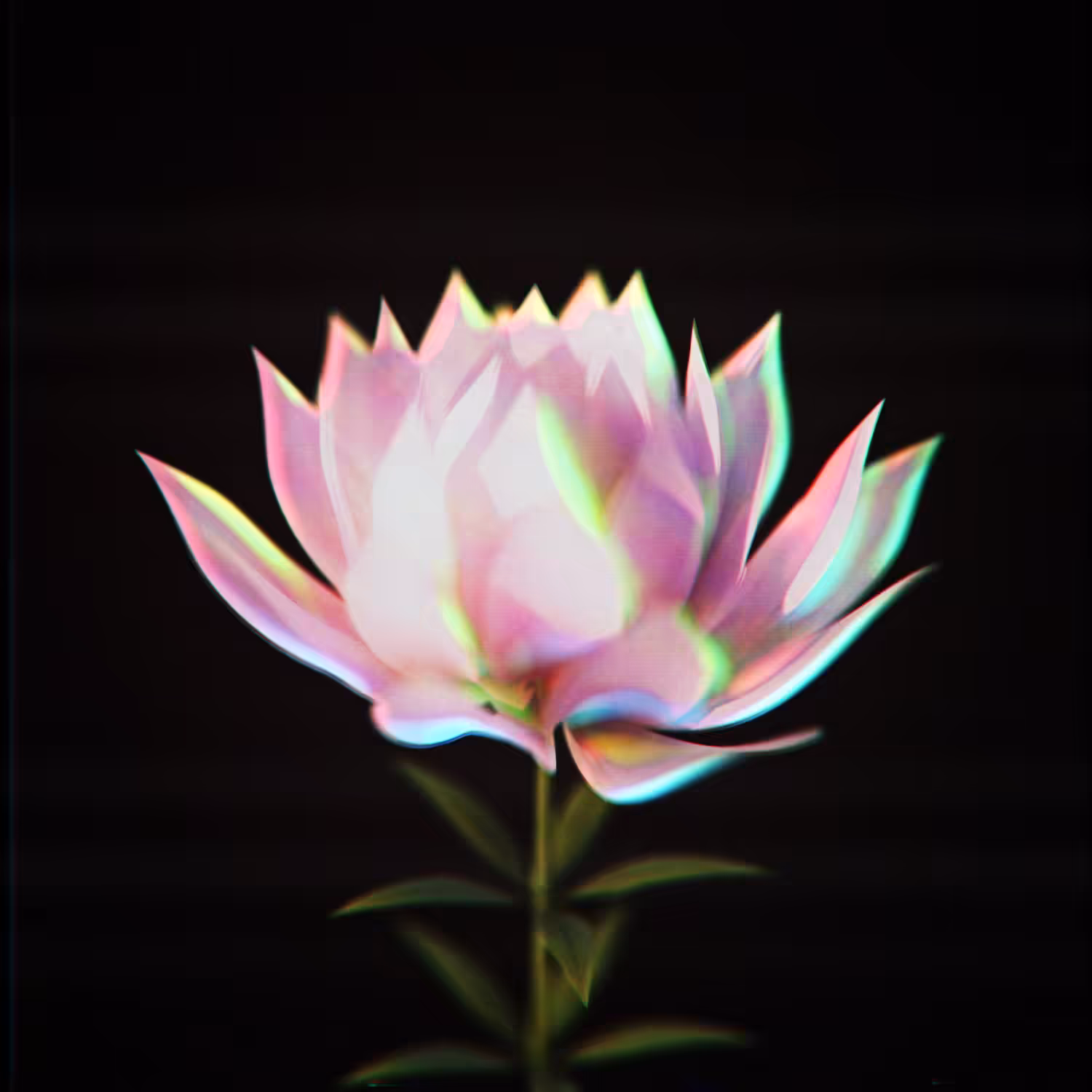 The Breathing Lotus