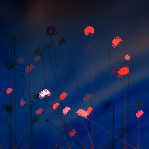 Cottongrass #18