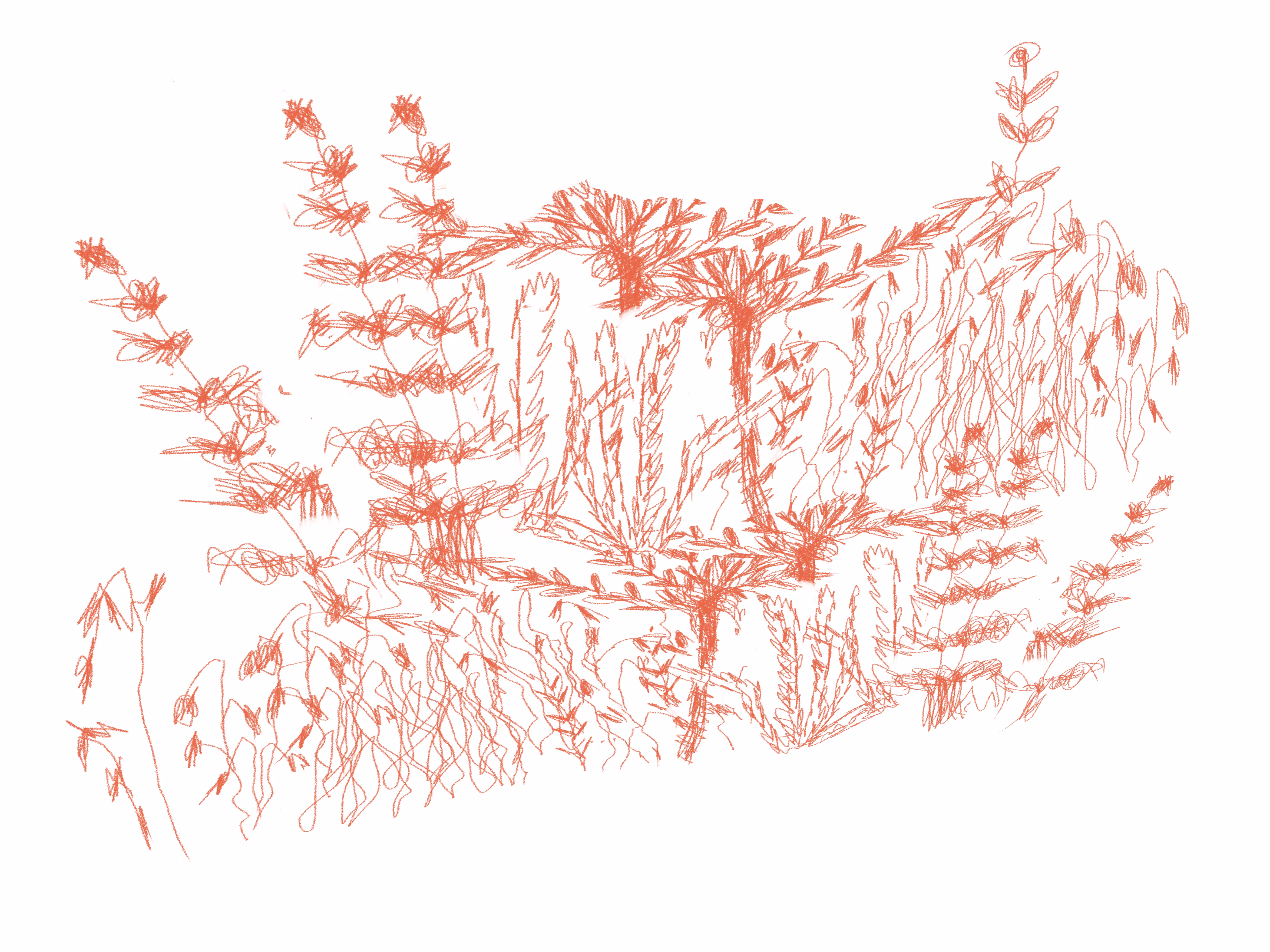 Zeichnung mit dem Applepencil