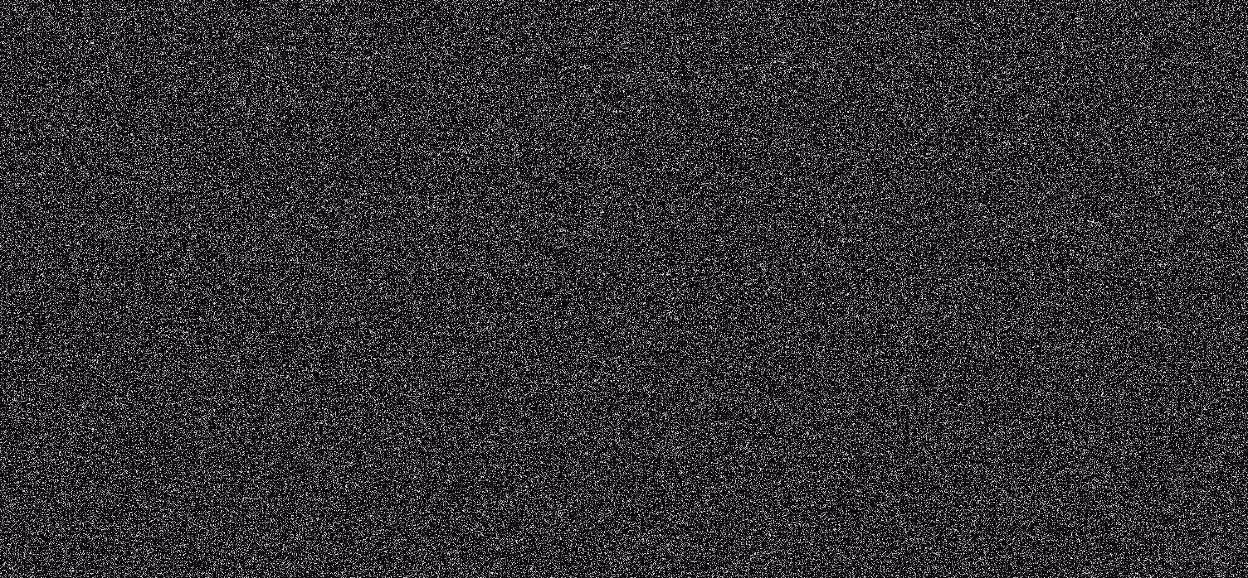 WE ARE NOISE