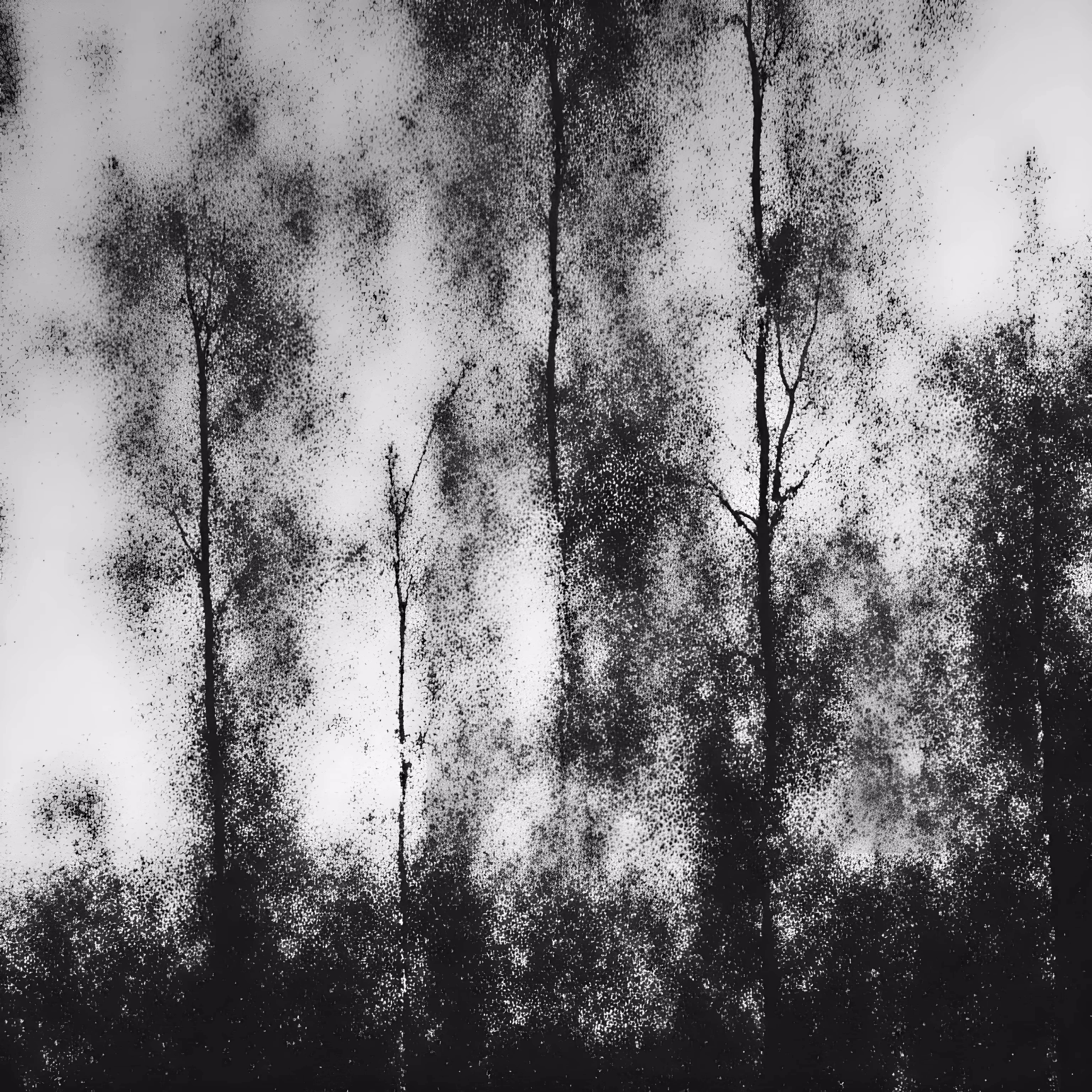 Black and White and in between, Ai assisted: The winter trees bare from the beauty of their leaves have a promise for new life, as their juices rest in the healing cold