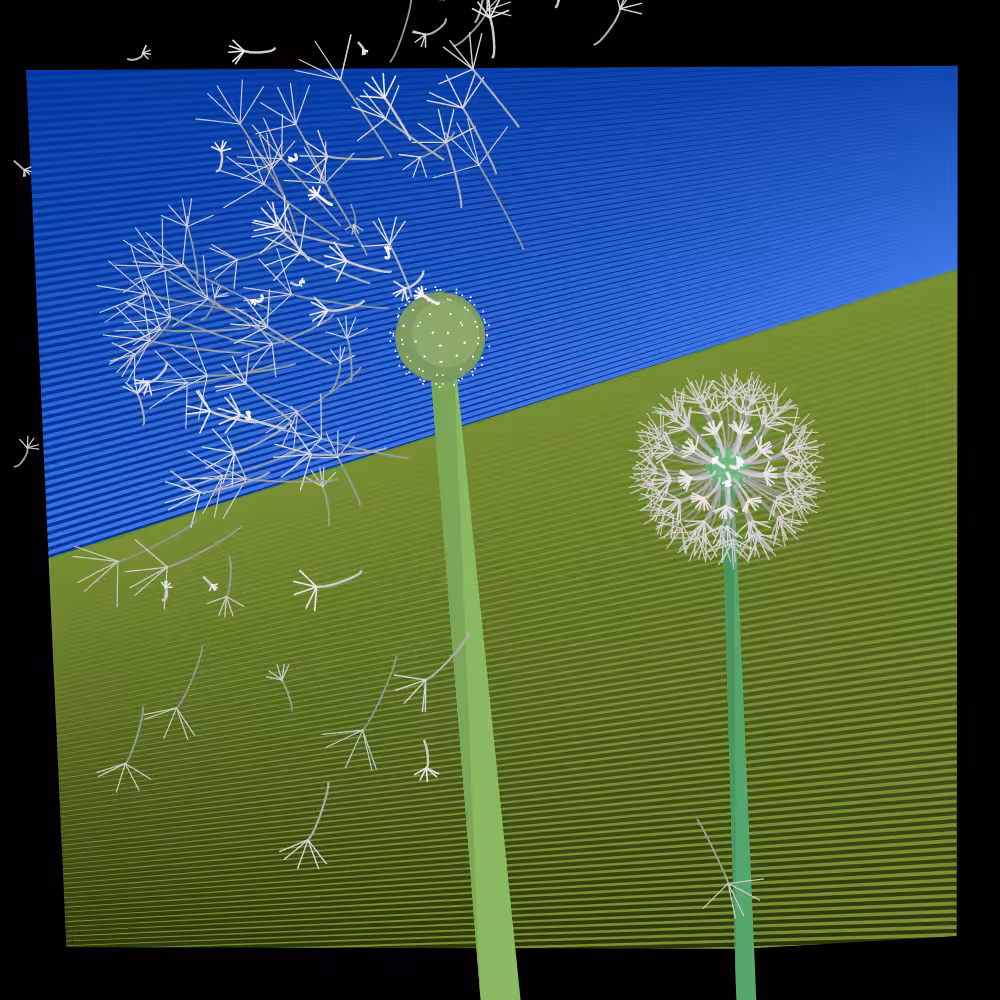 Interactive Seeds #11