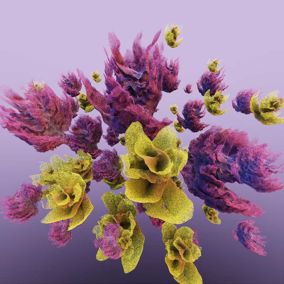 rosarium #93