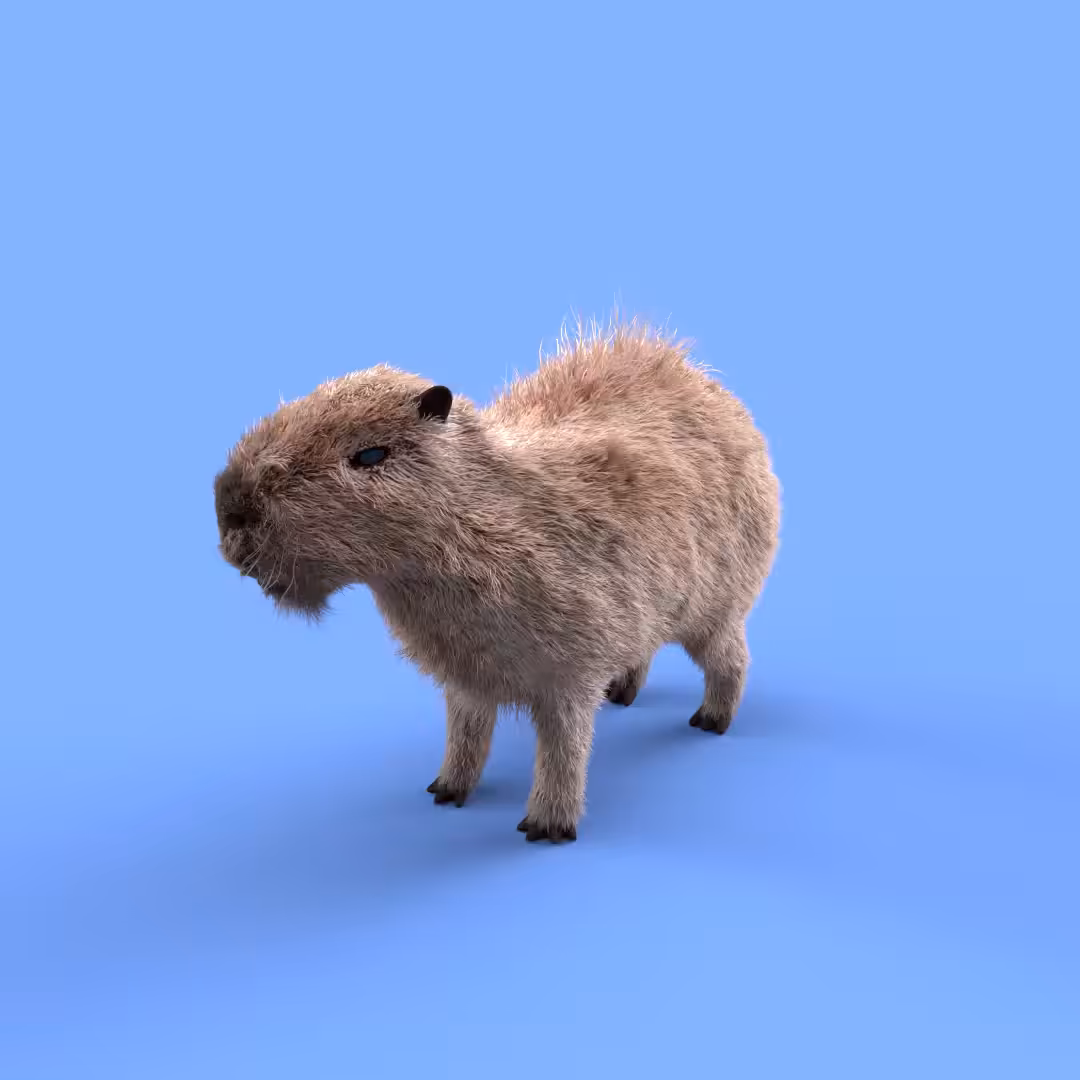 Inflating Capybara
