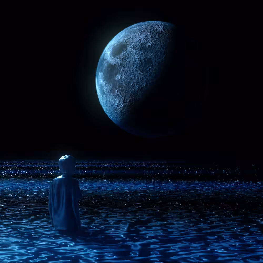 Solar Moon Rising