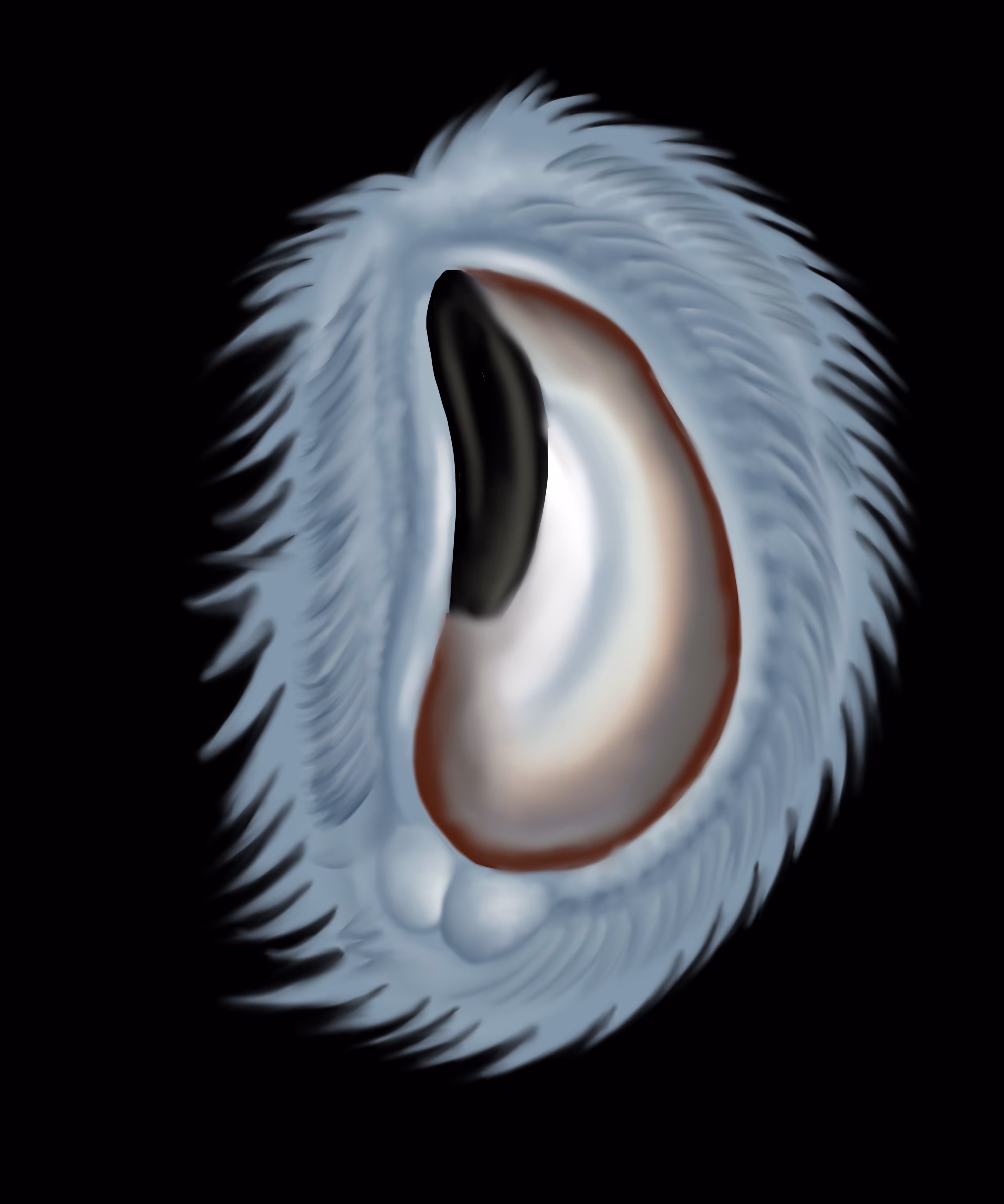 pui#004