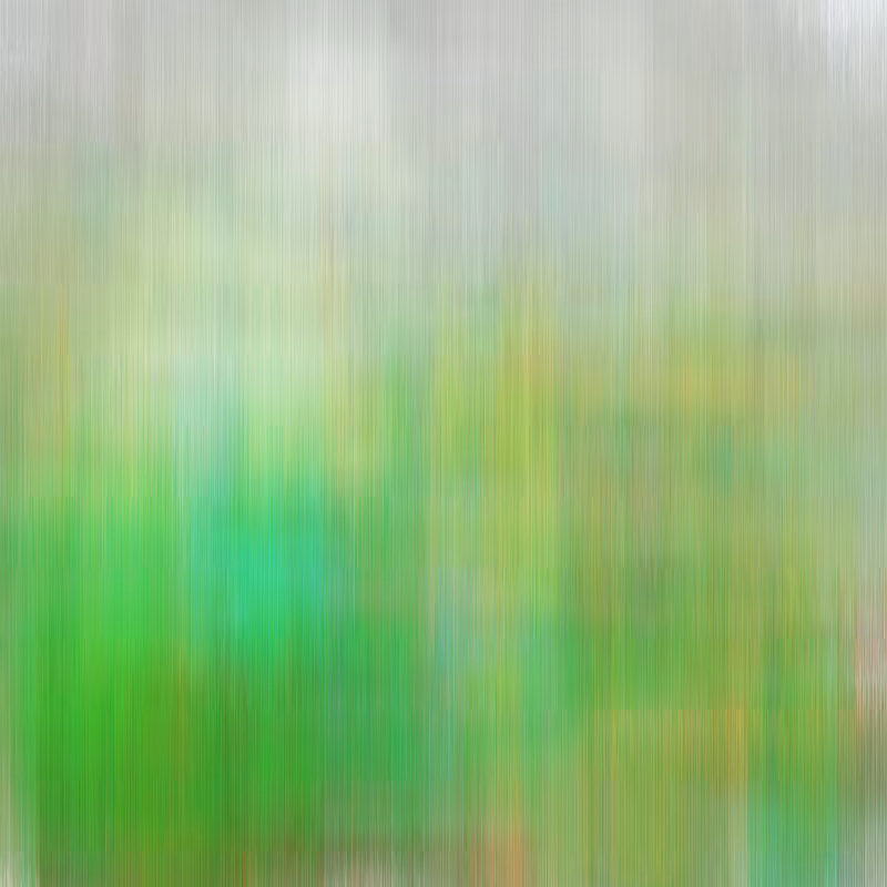 Hatch Field 001 #202