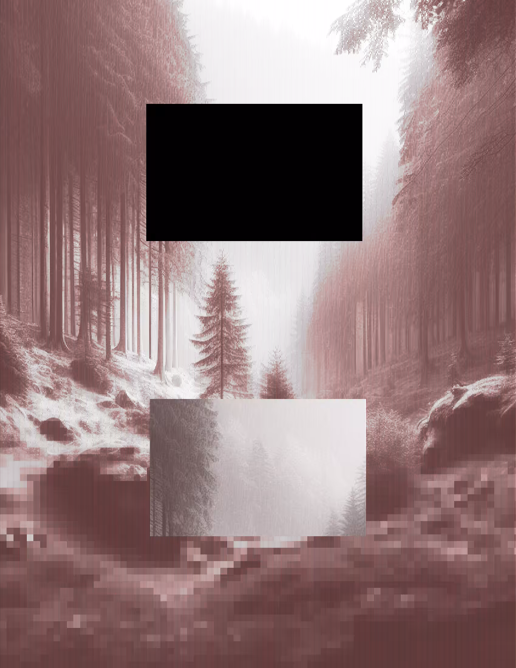 P-F 0010