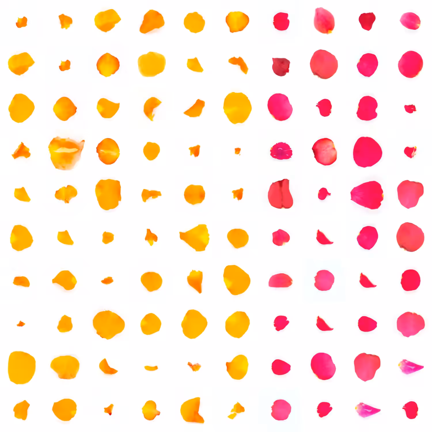 Infinite Petals 10x10#2337