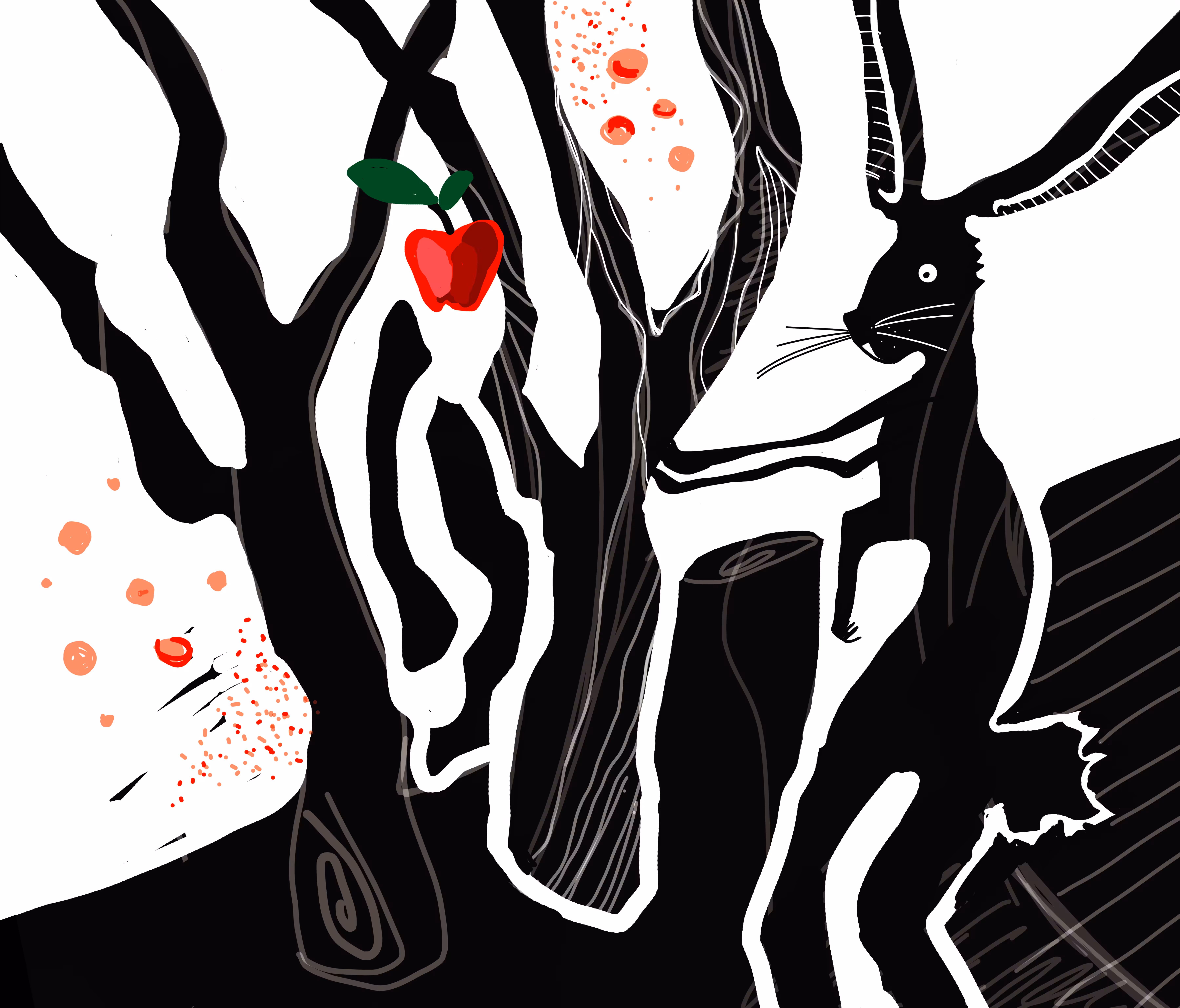 Black Rabbit