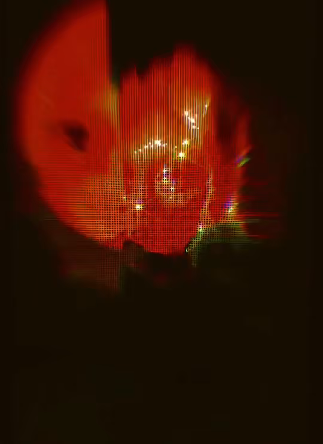 Rabid 