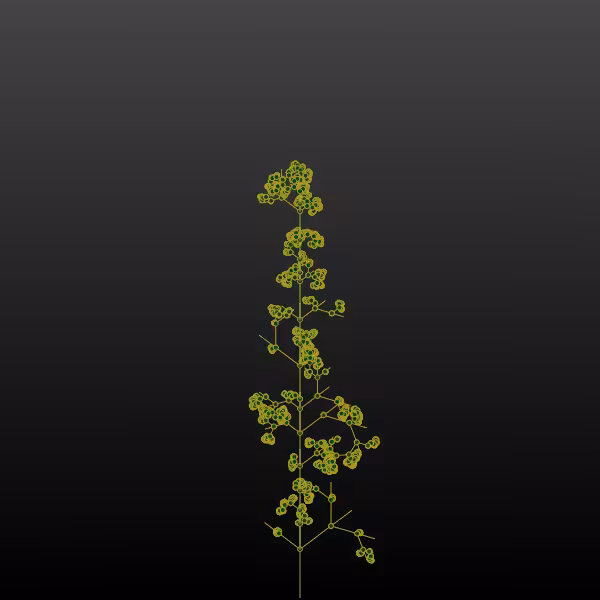 Verse-Plants #1