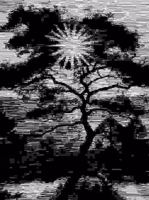 Monochrome Art