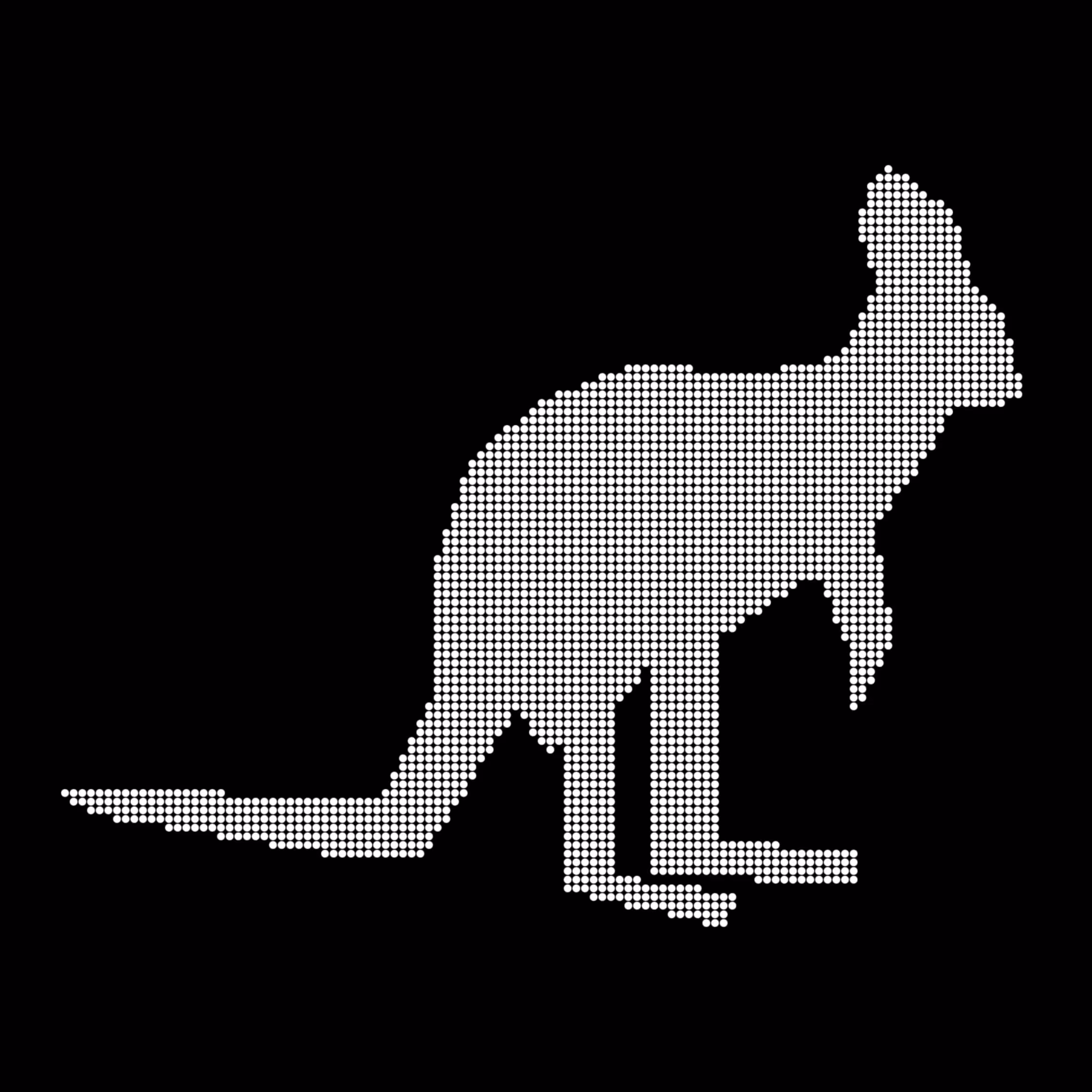 Caltech Studies (Braille): Kangaroo 33