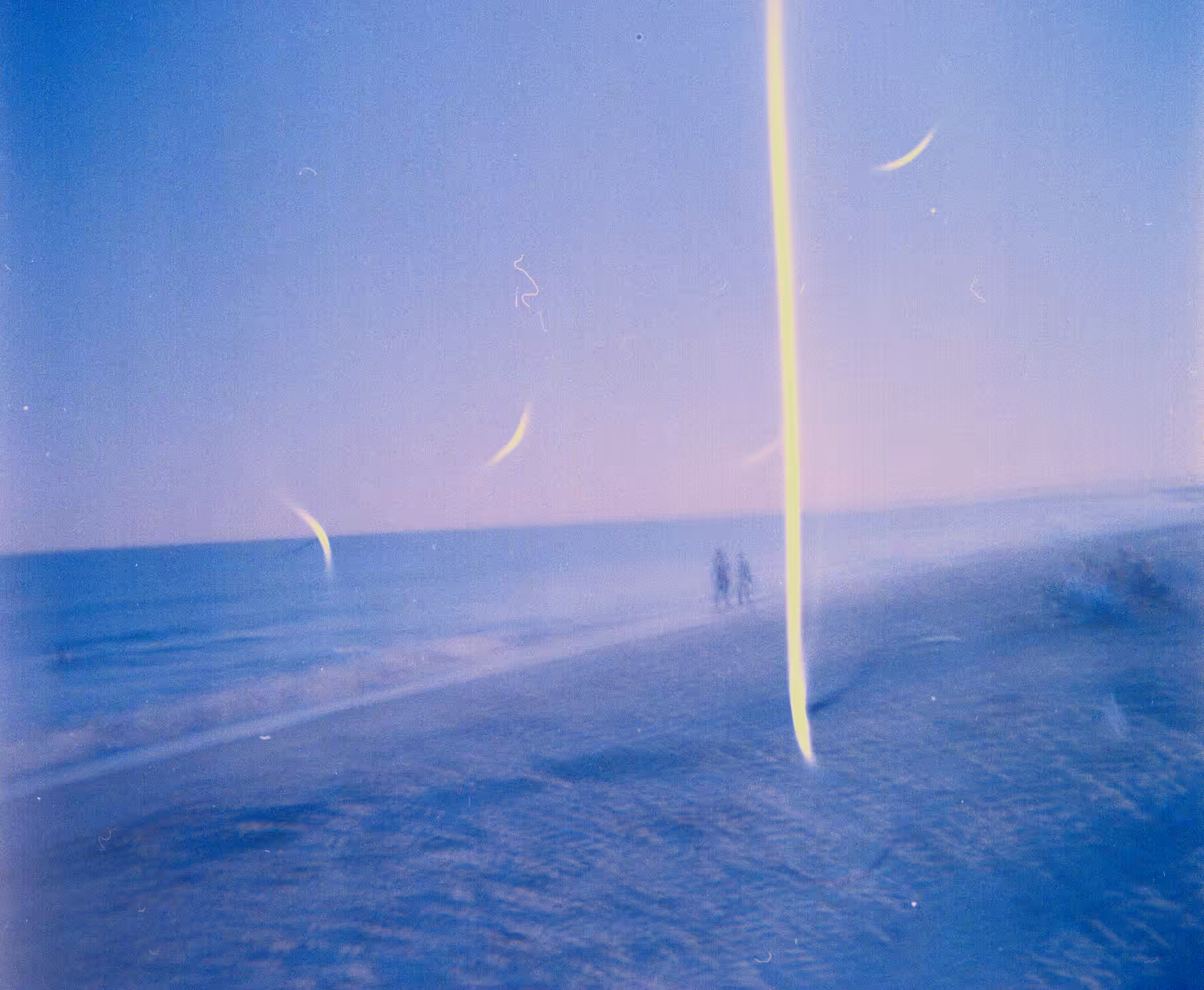 holga no. 5