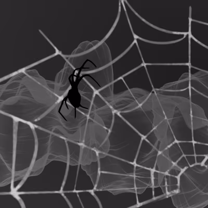 Black Spider #1