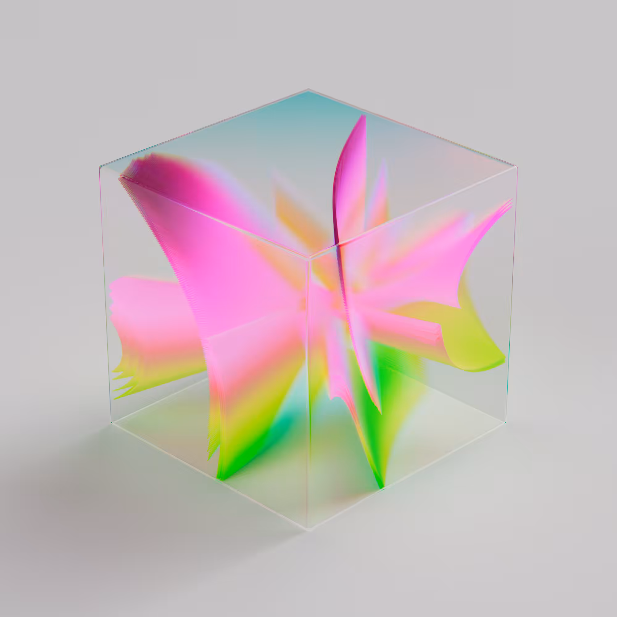 Rhinotillexomania_0x08