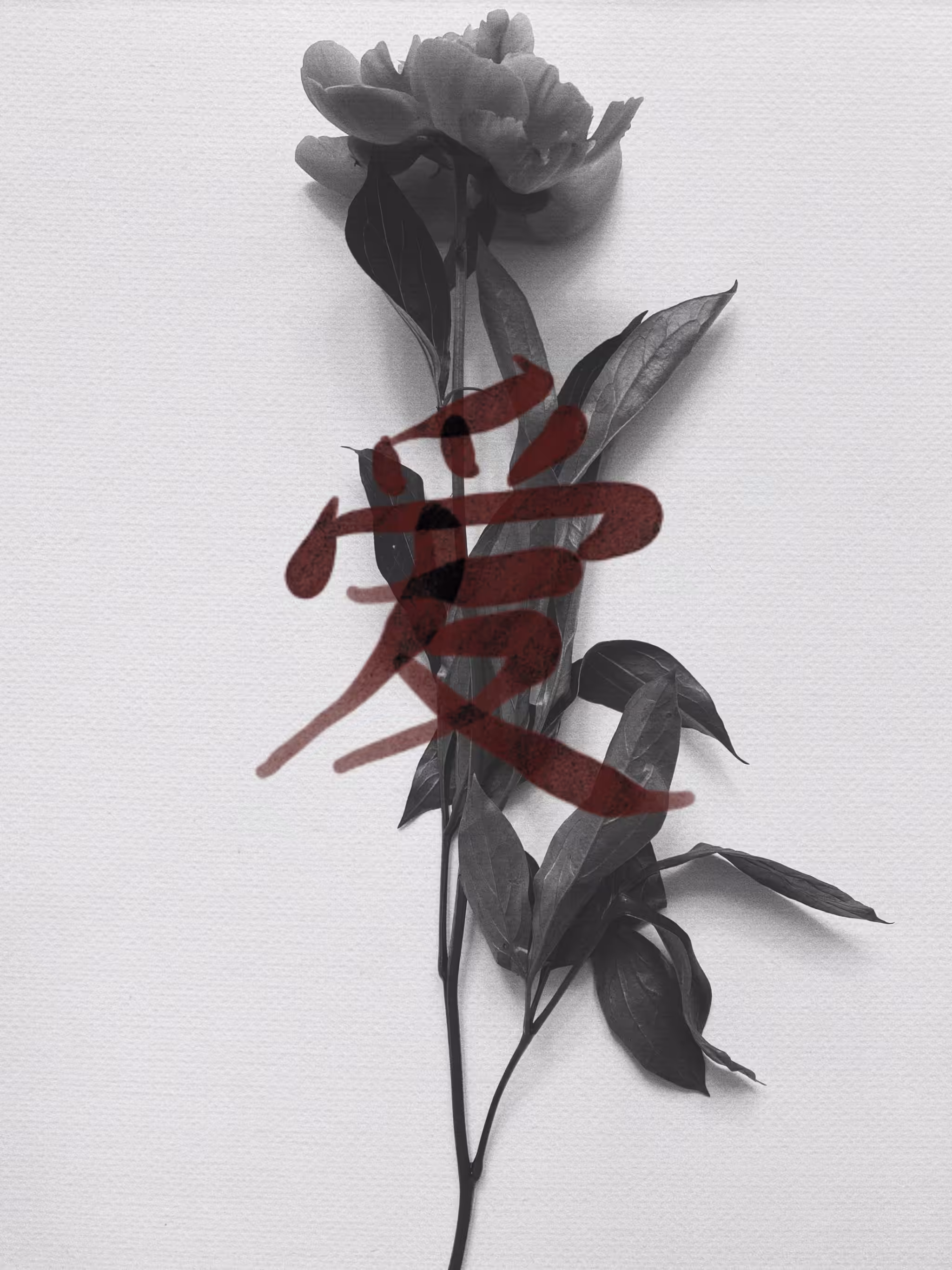 Flower I