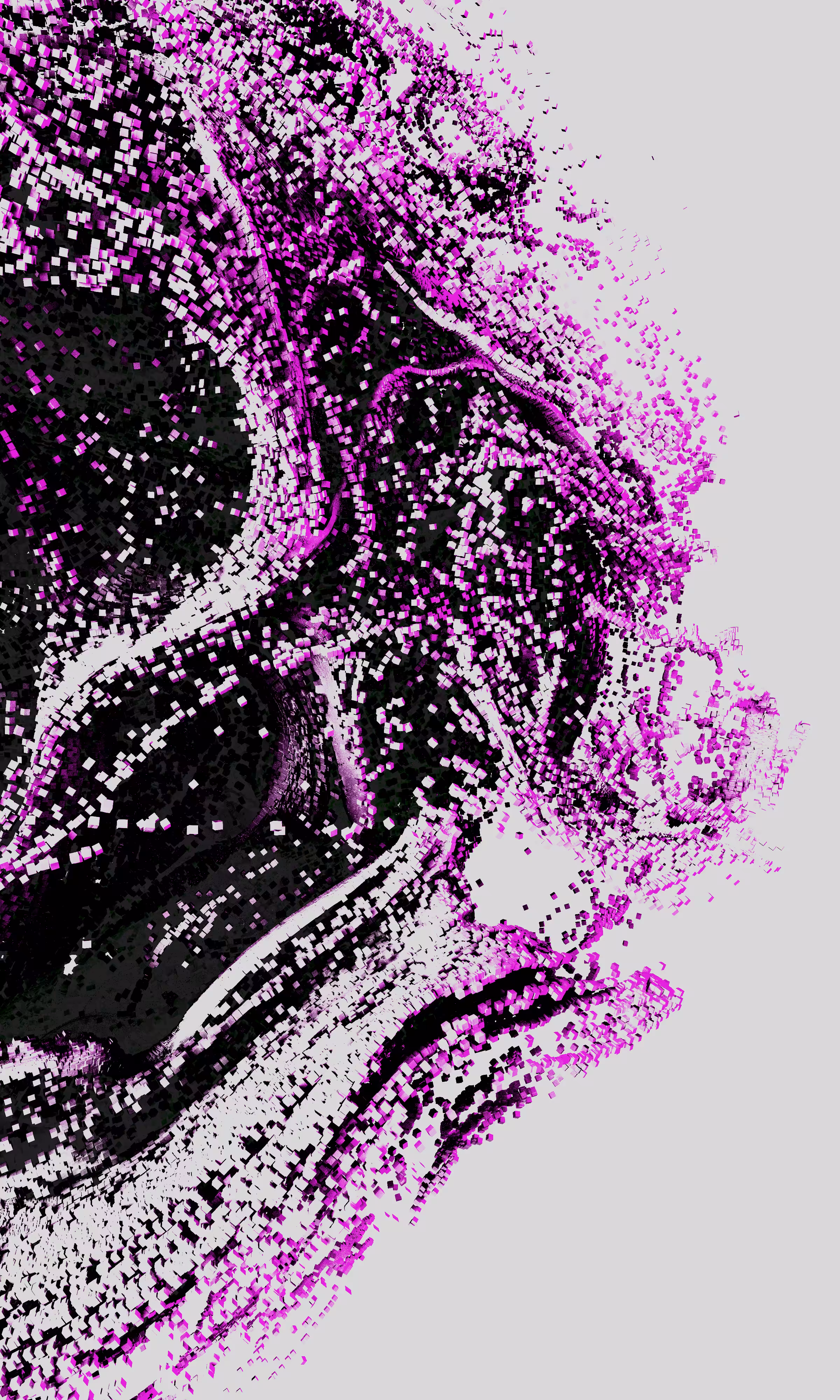 Chaos Theory 001