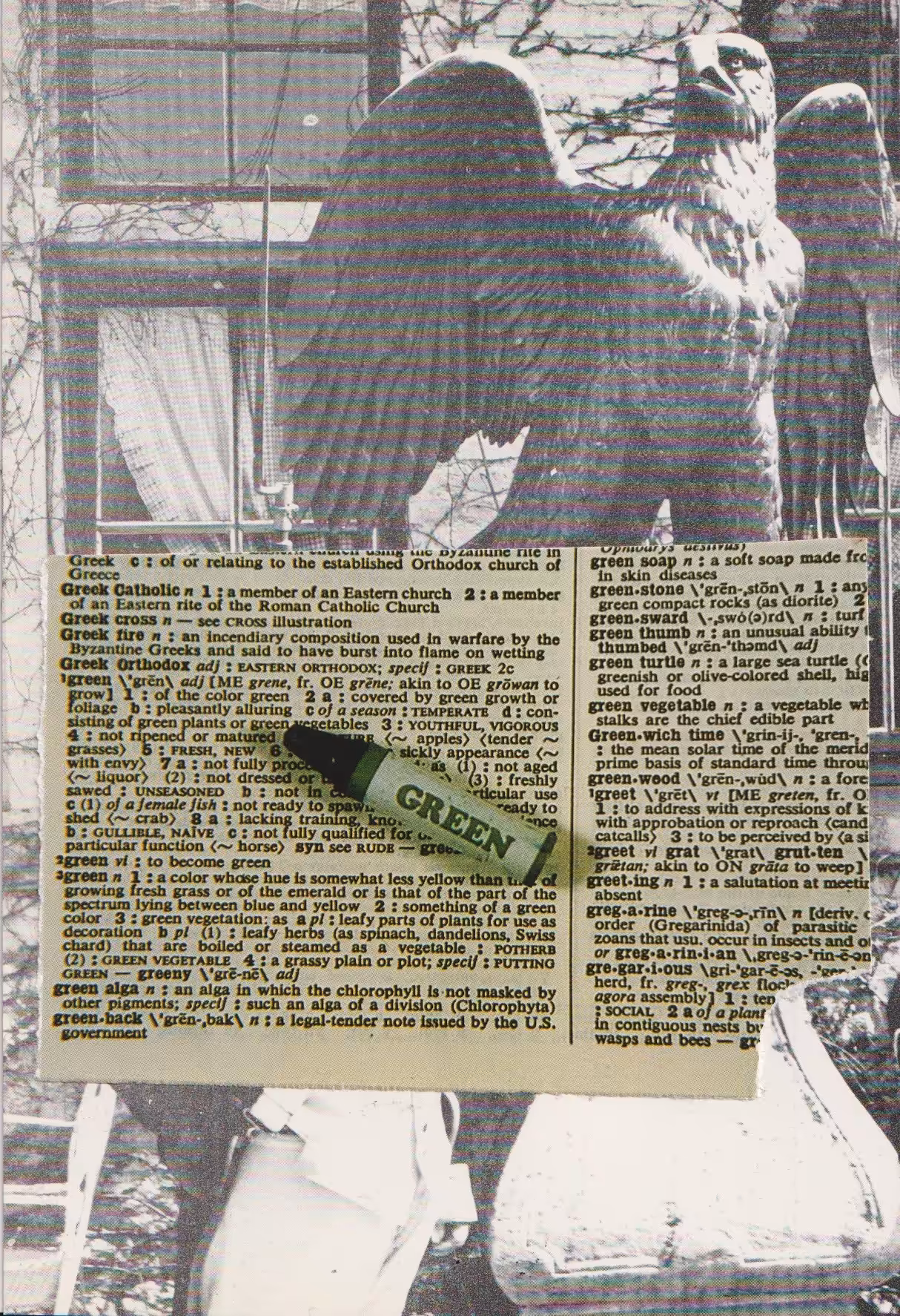 Département des aigles - green,