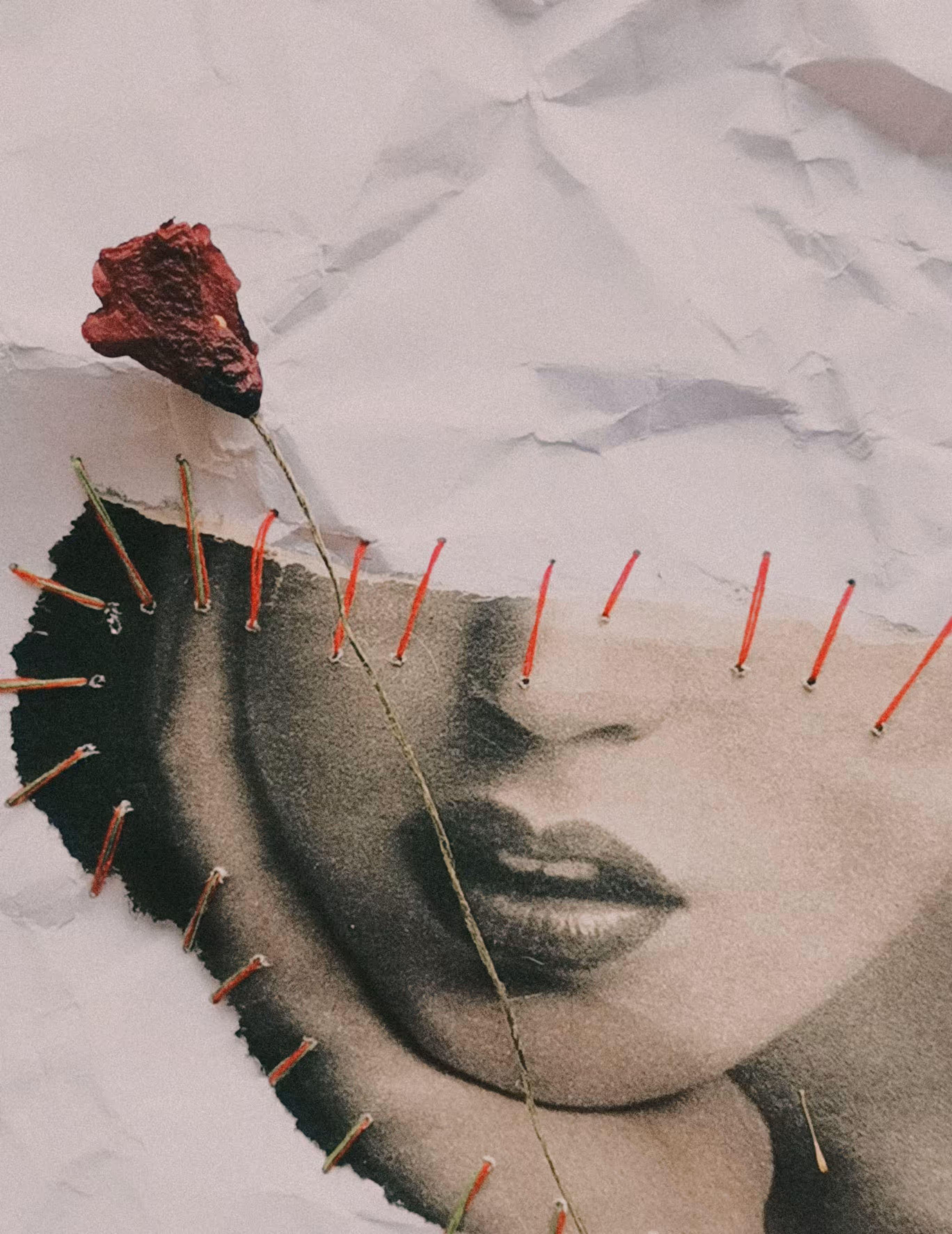 Red Lines 16