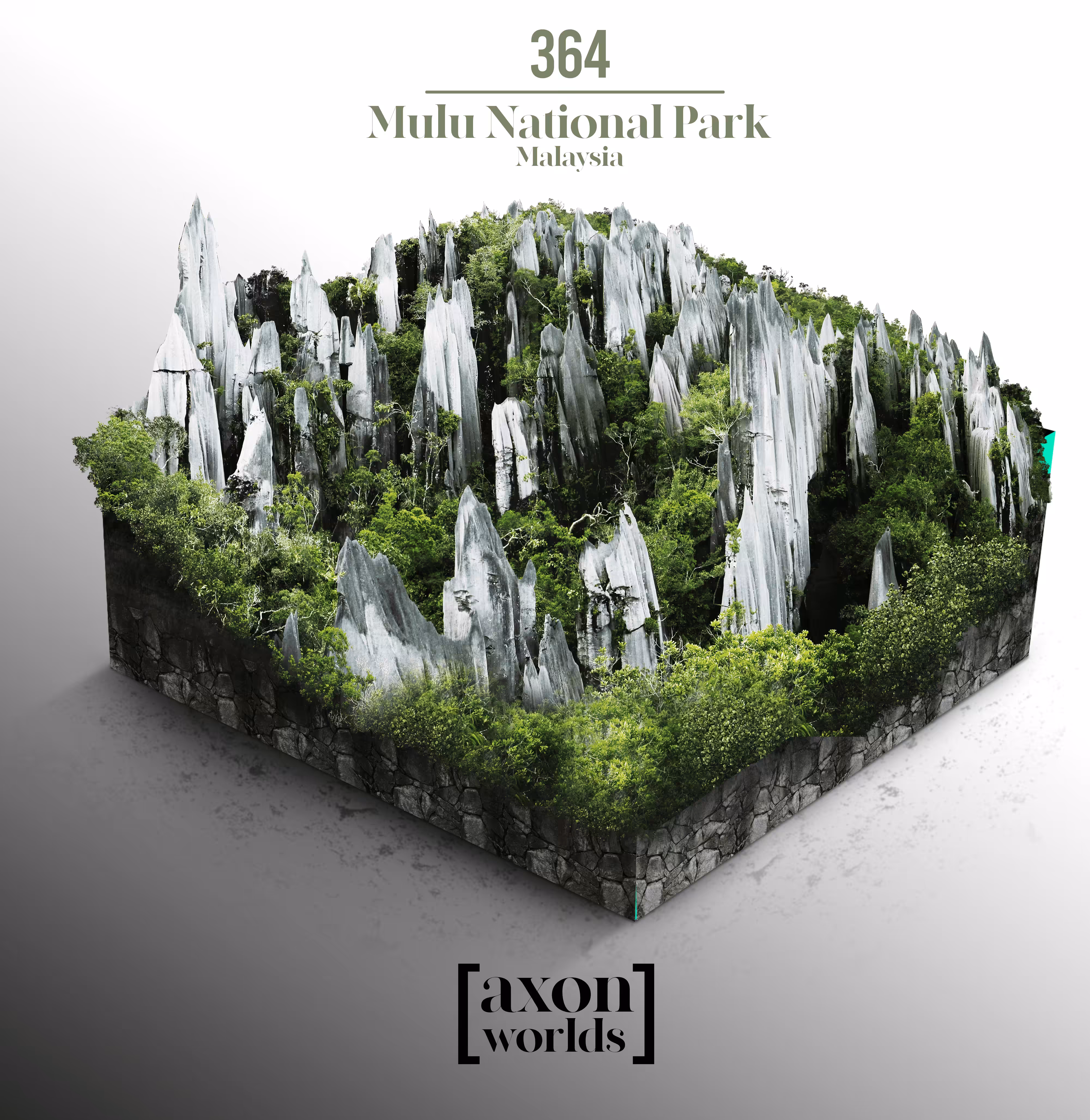 AXON WORLD | 154/1423 | MULU NATIONAL PARK | MALAYSIA | MICRO WORLD