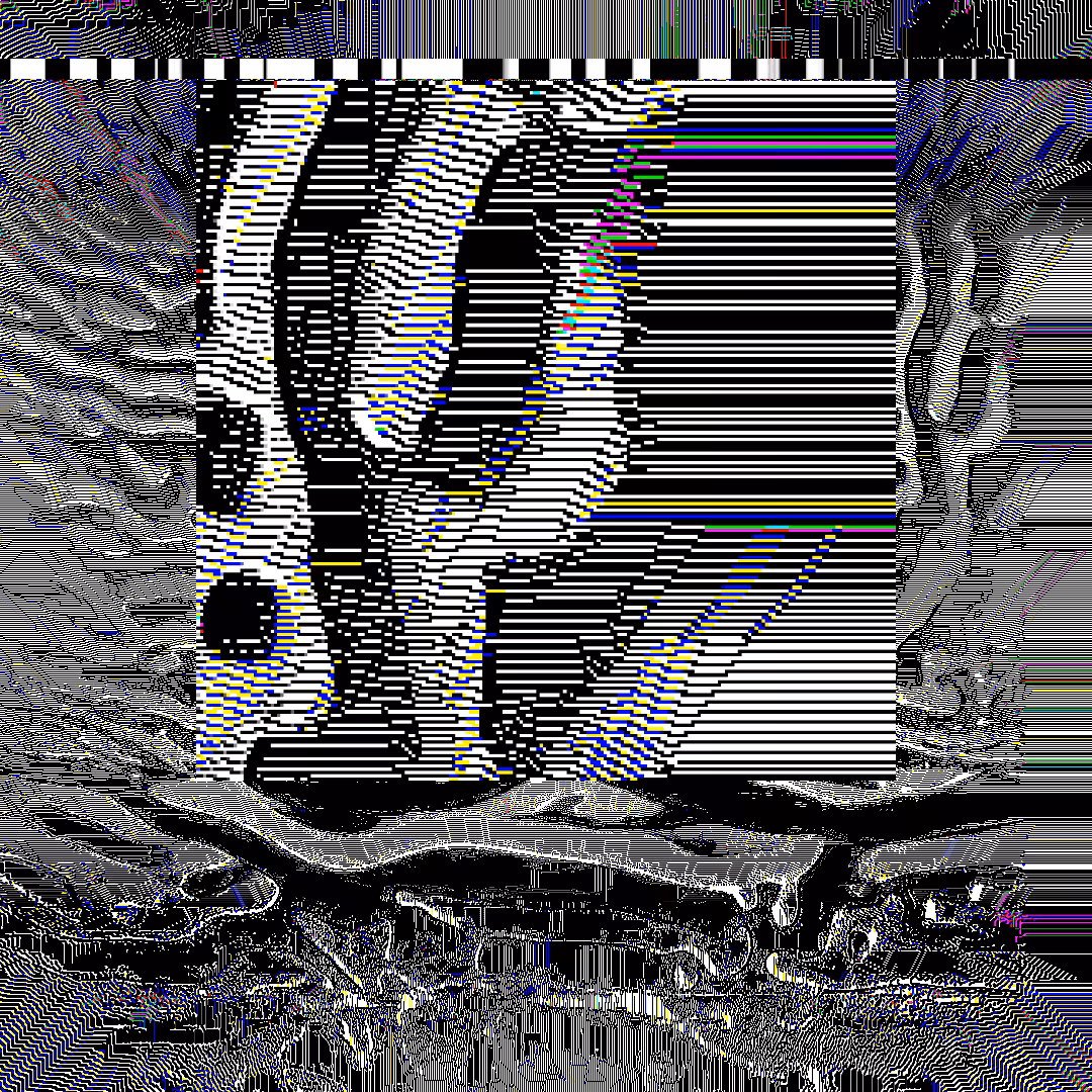 nearest neighbor - genesis  #79