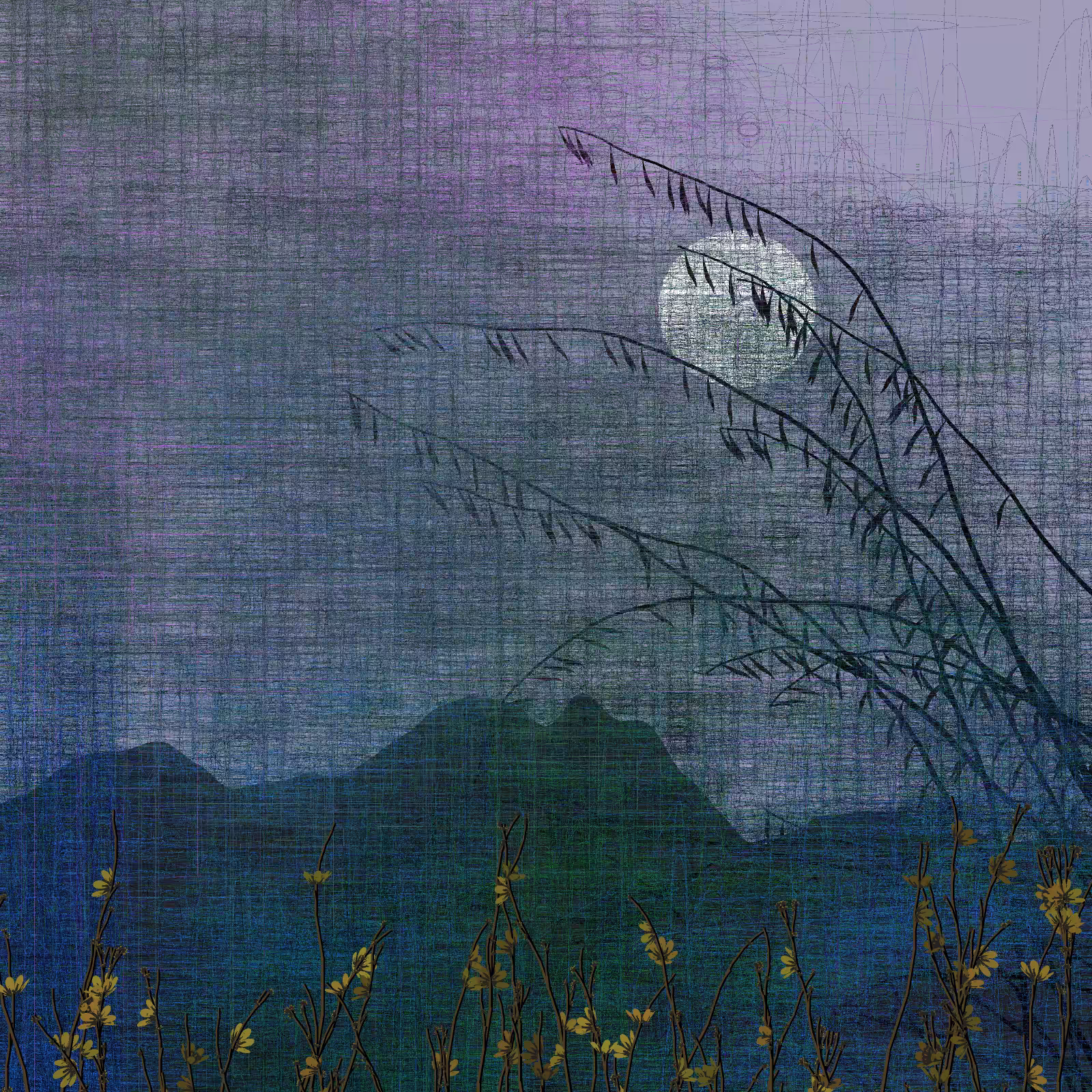 Echoes #5