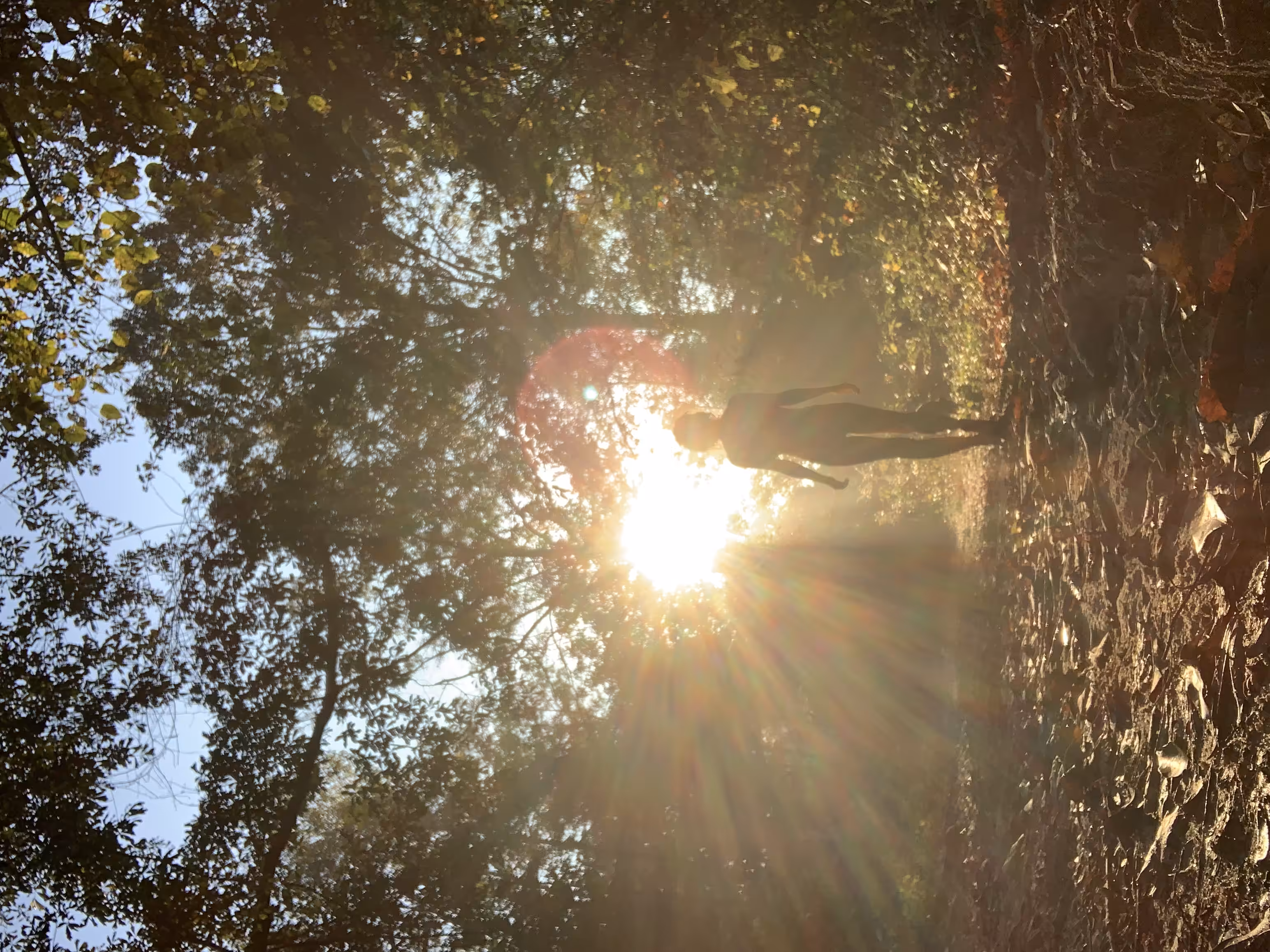 Morning light