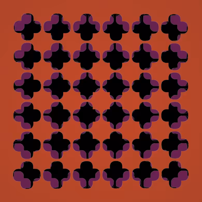 Mesh #5