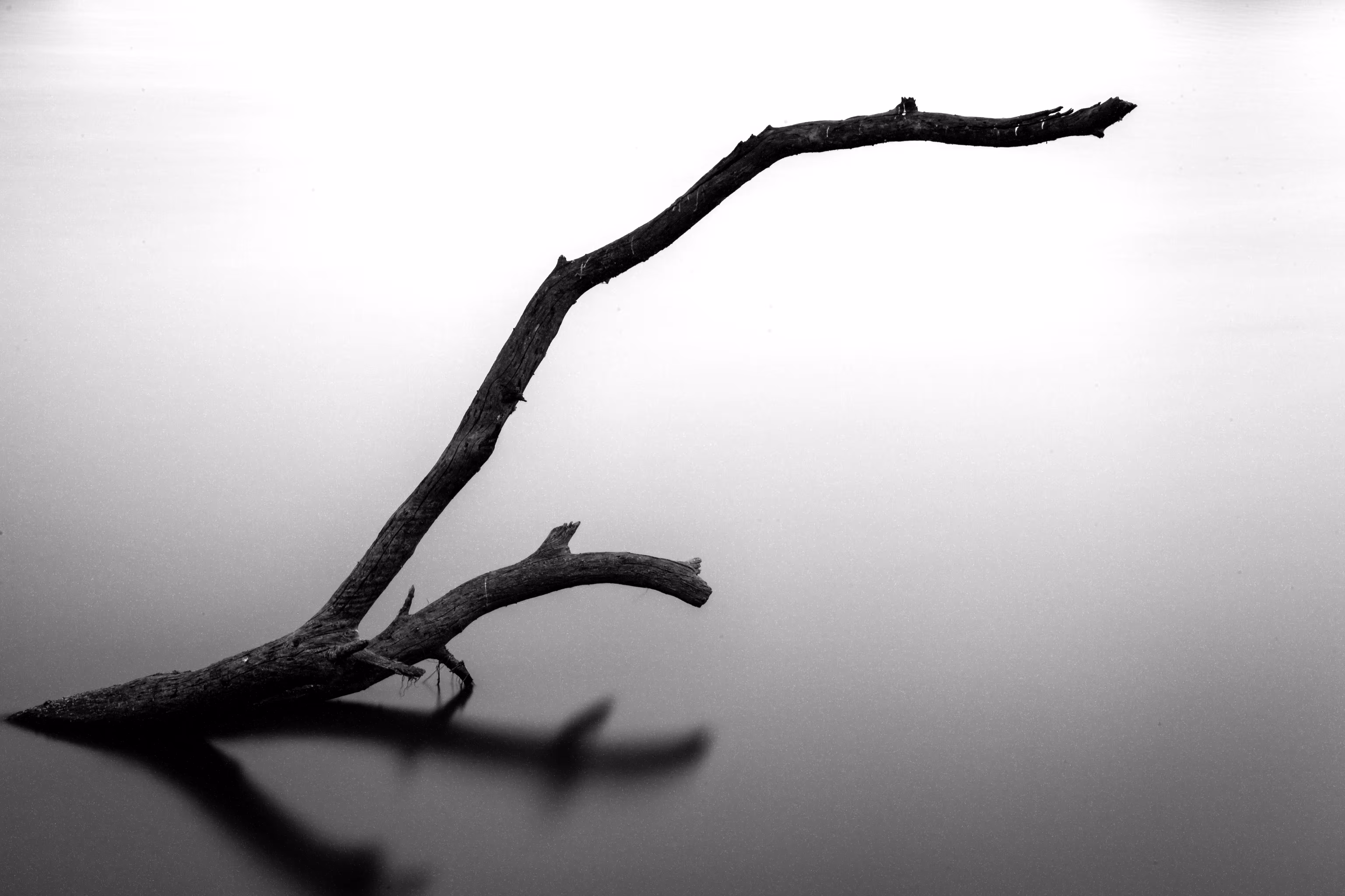 Fine Art