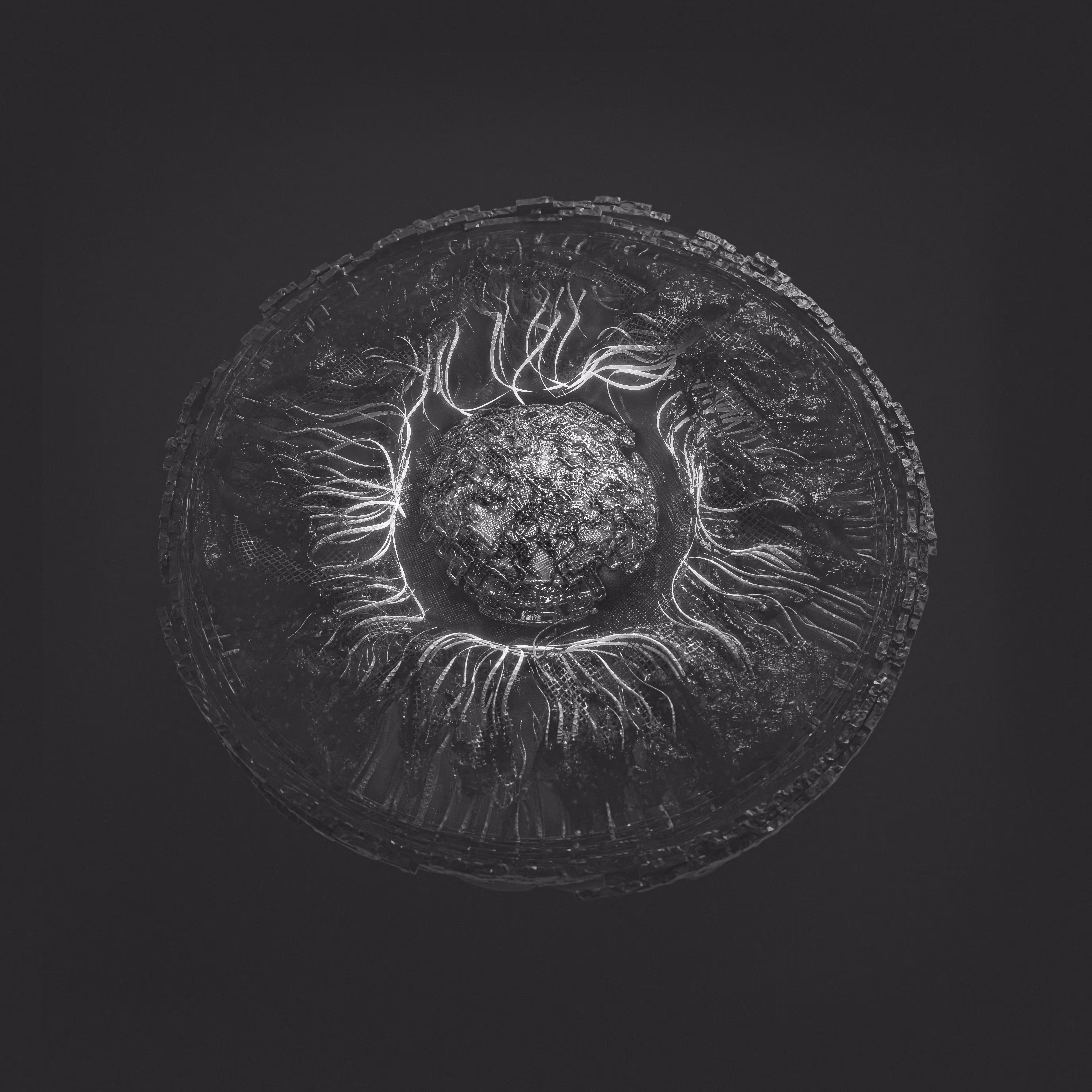 dark gaze