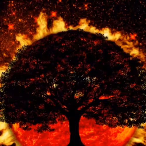 Tree #6 (Series 2)